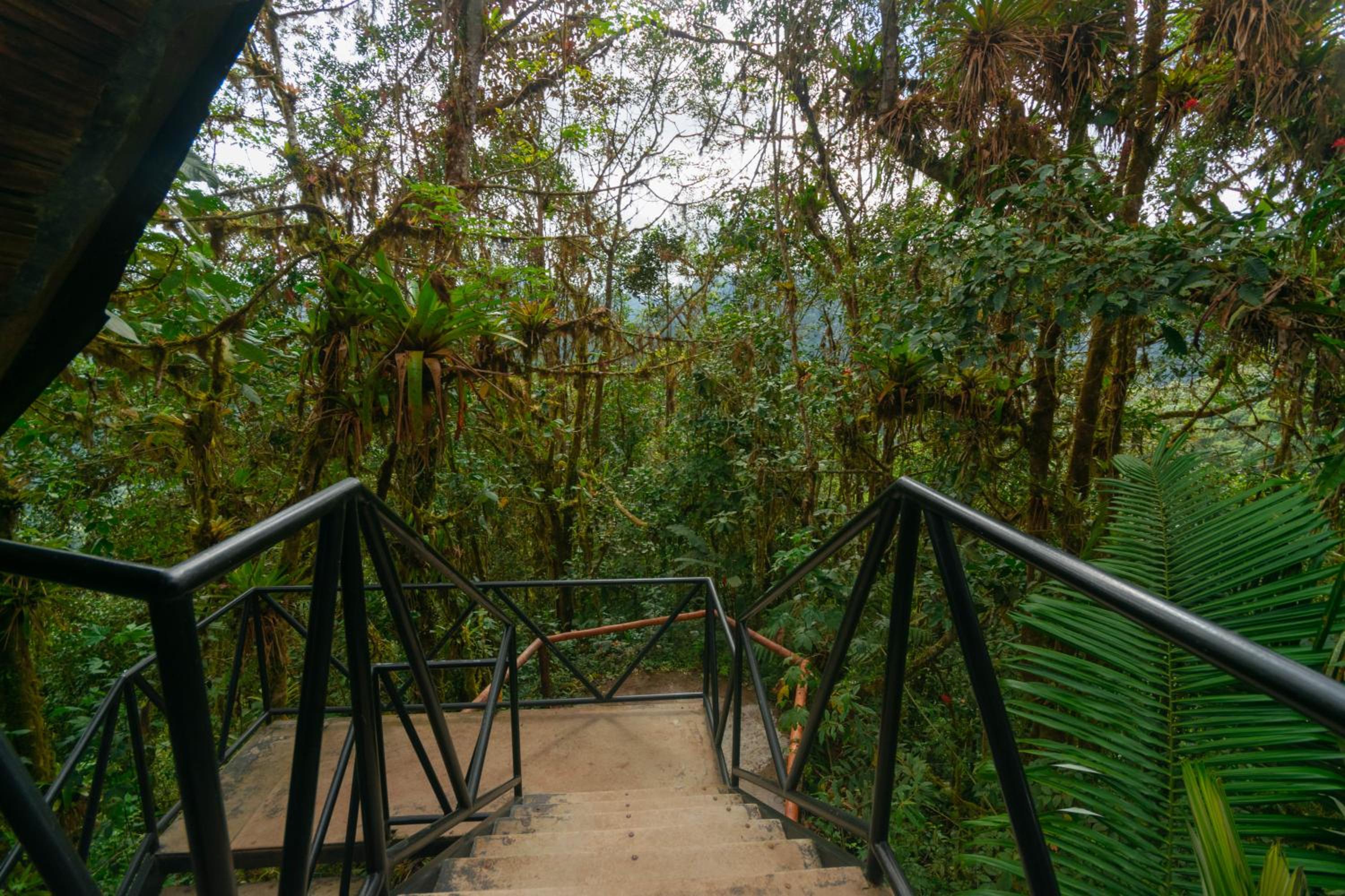 Bellavista Cloud Forest Lodge & Private Protected Area