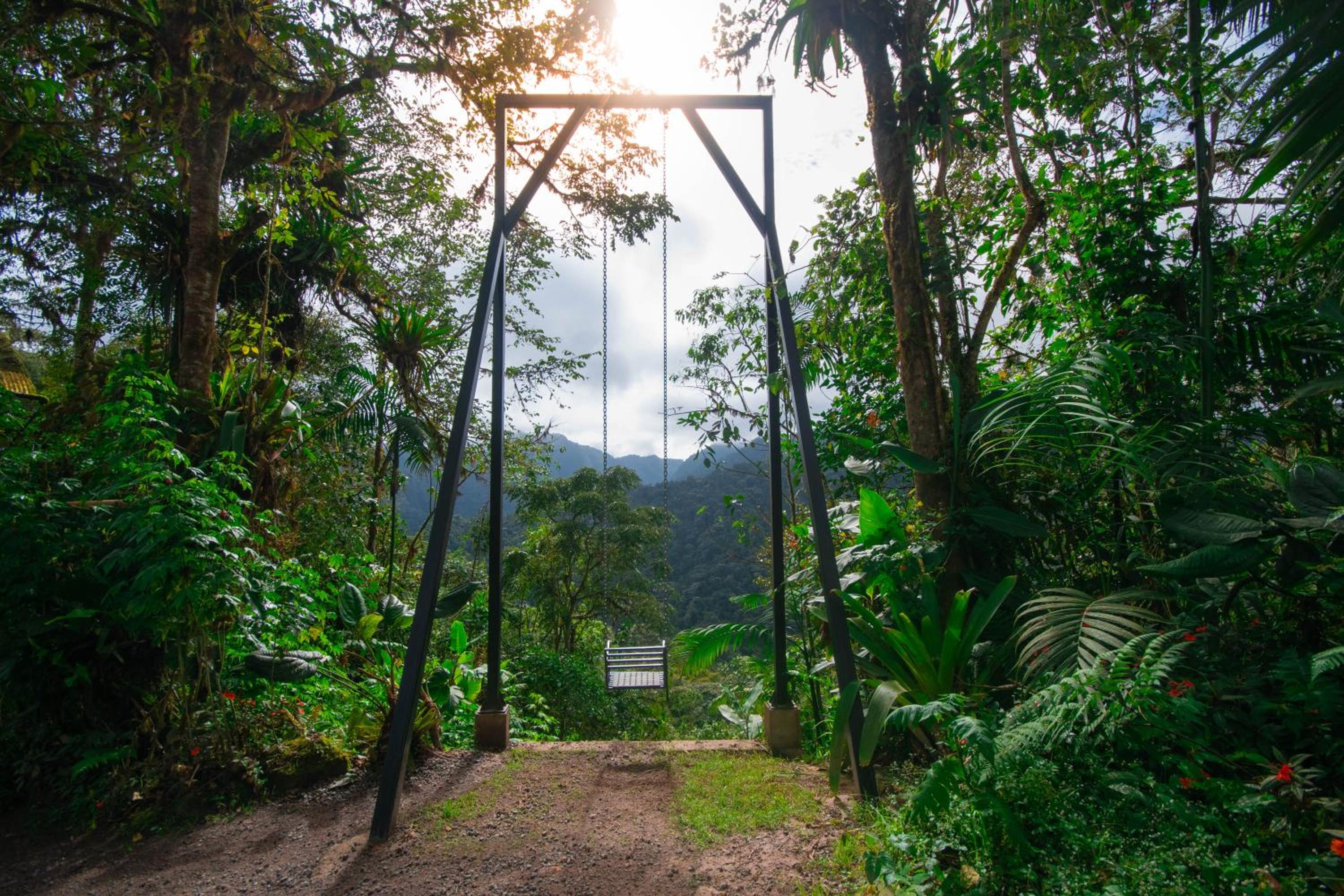 Bellavista Cloud Forest Lodge & Private Protected Area