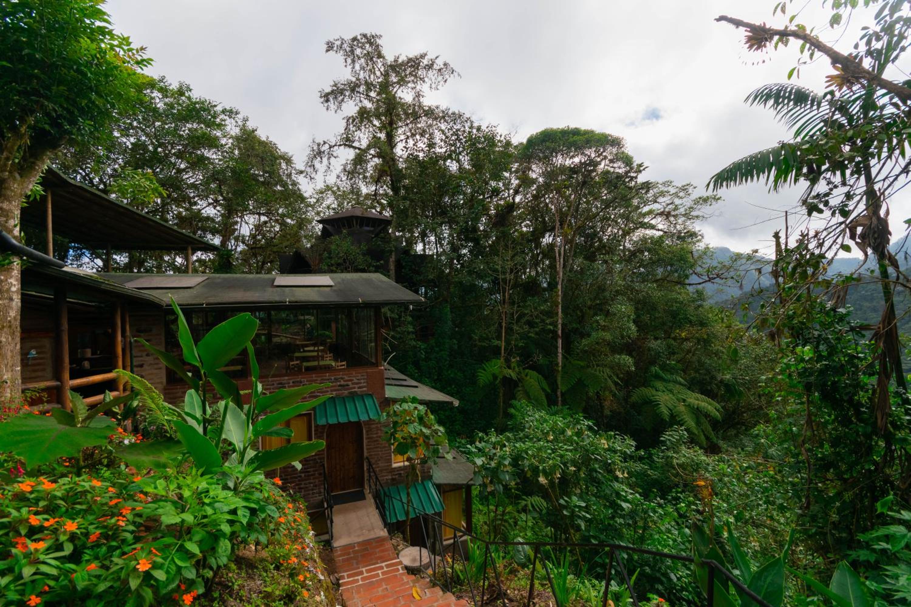 Bellavista Cloud Forest Lodge & Private Protected Area