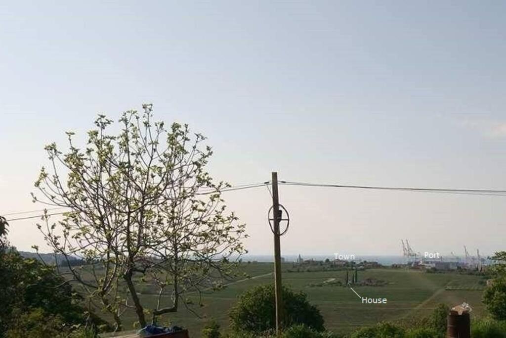 Photo 41