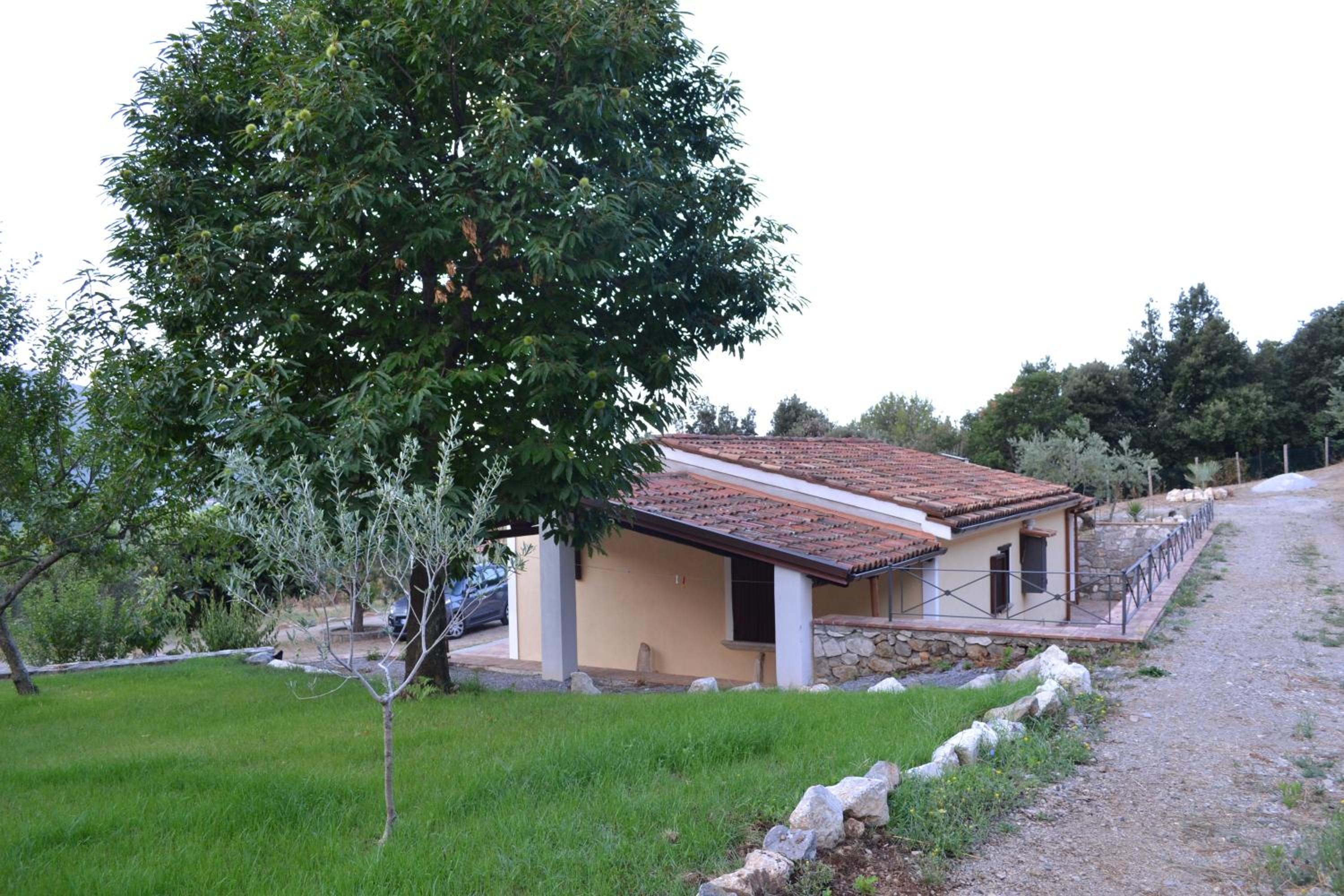 Photo 7