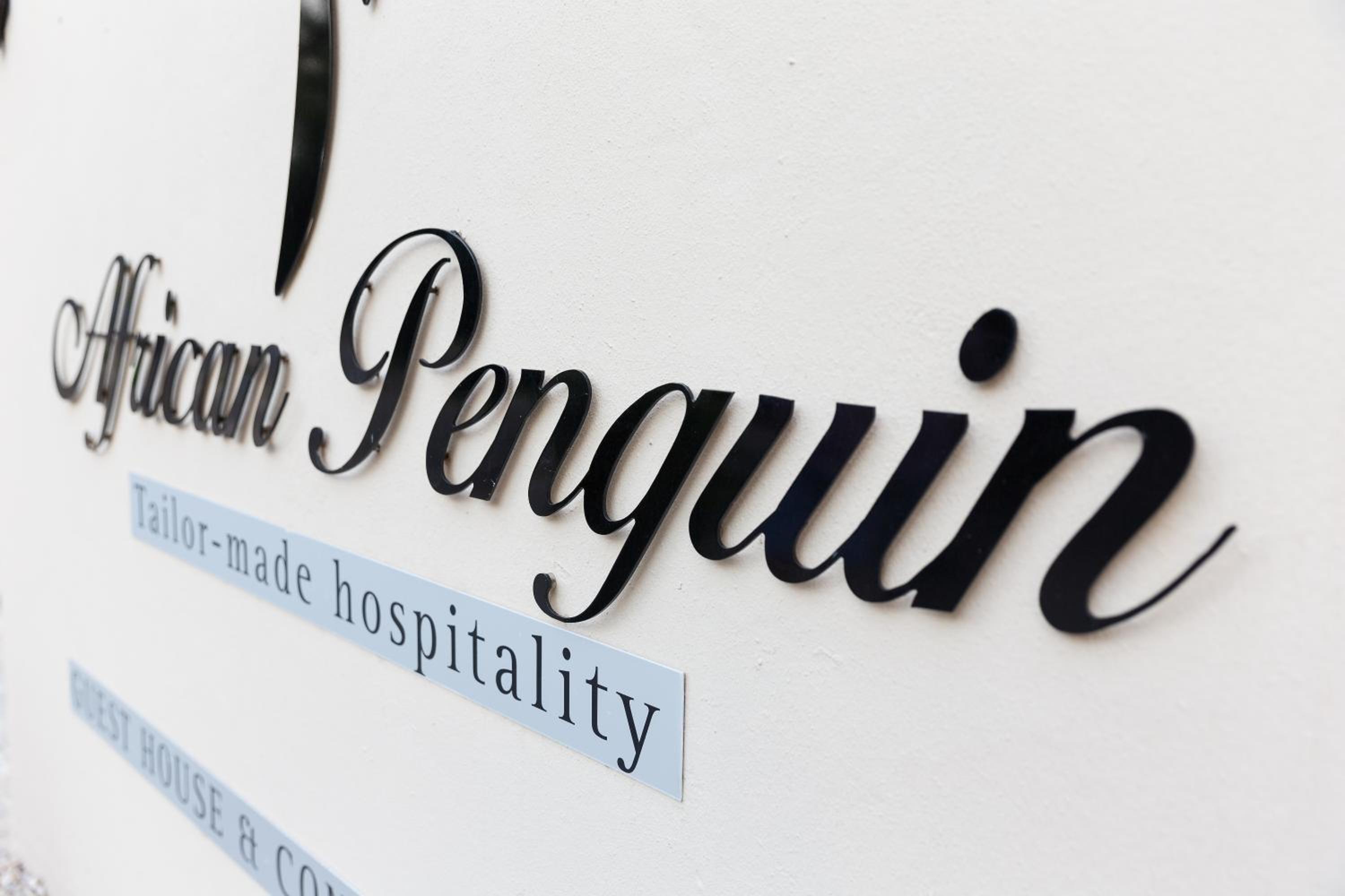 The African Penguin Guesthouse — photo 48