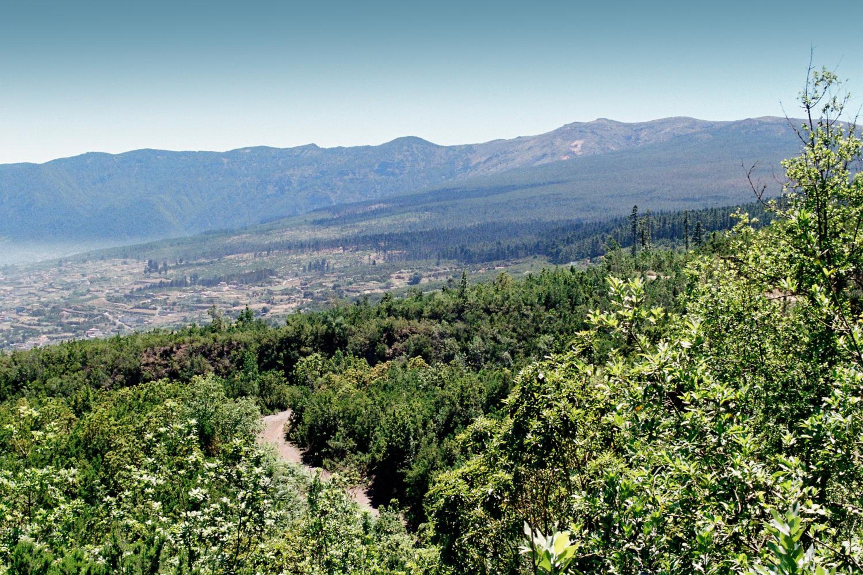 Rural Las Llanadas