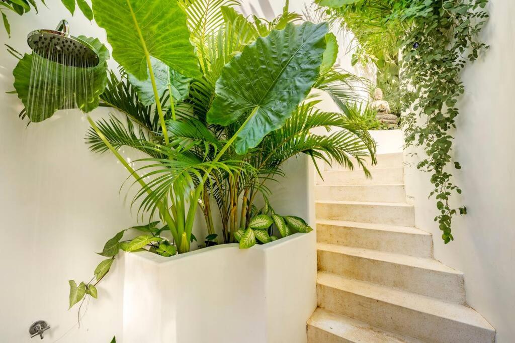 Nest Uluwatu - Eco Boutique Villa