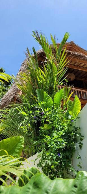 Nest Uluwatu - Eco Boutique Villa