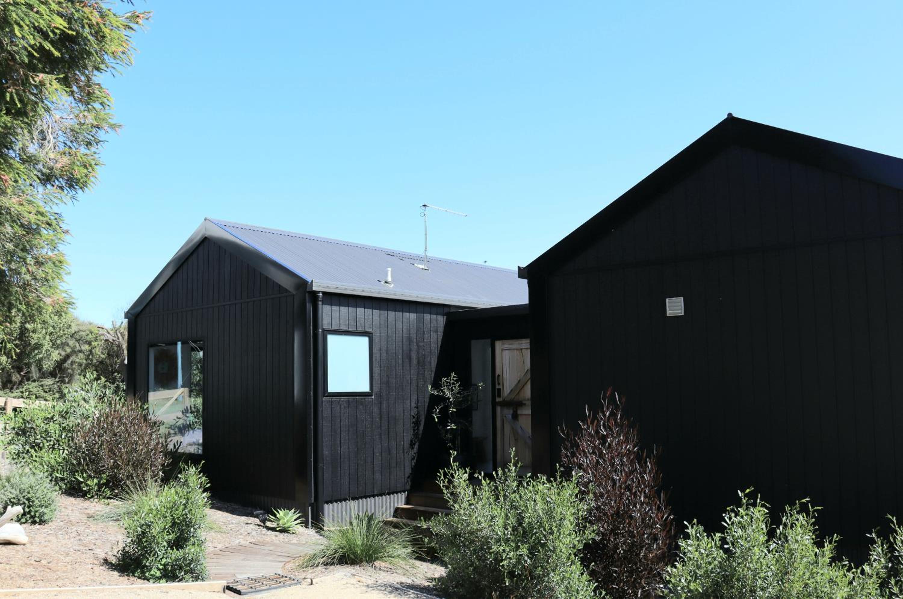 black + shack