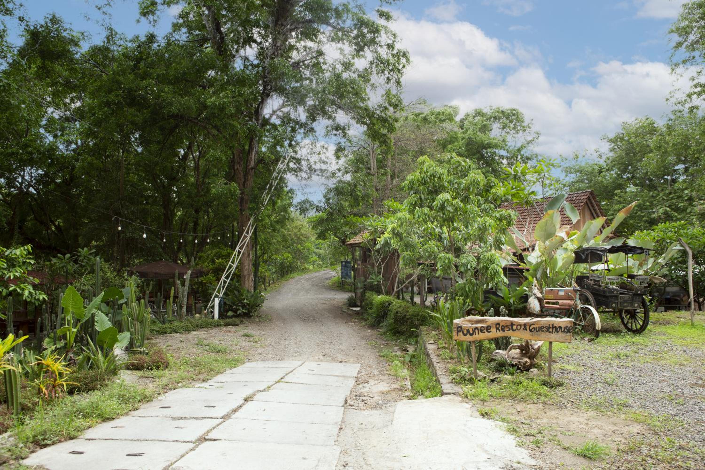 Puunee Wild River Villa's Borobudur view 3