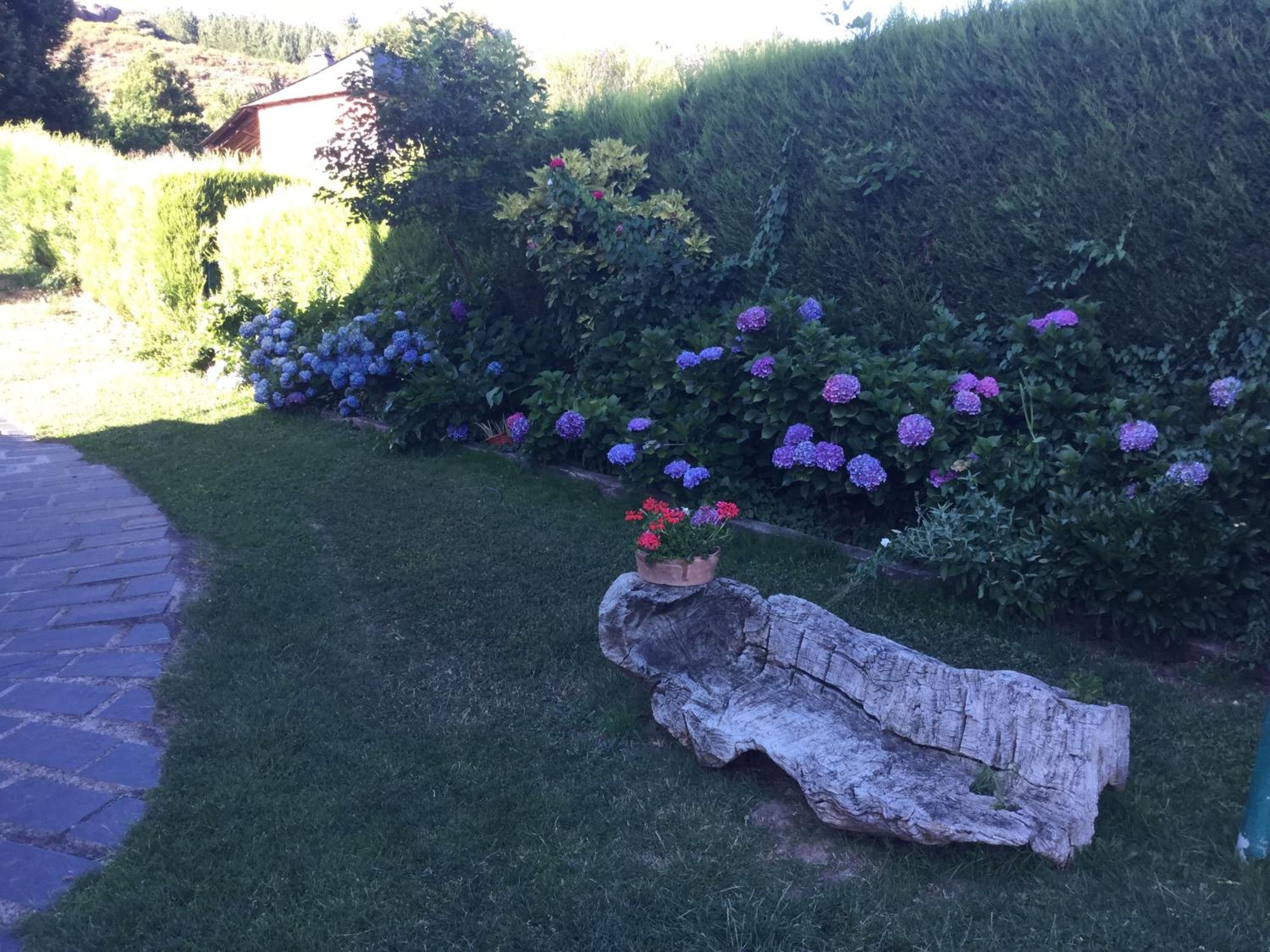 Photo 26