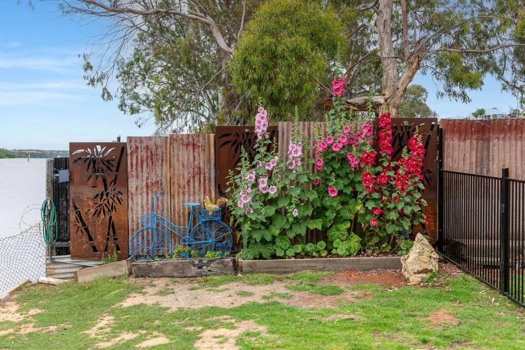'Bella Vista'