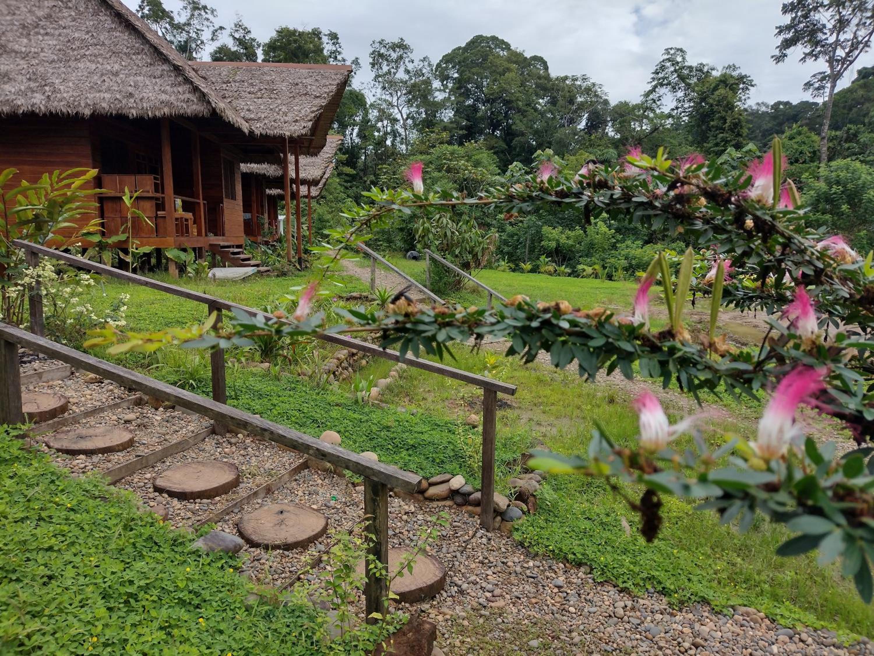 Kotsimba Lodge
