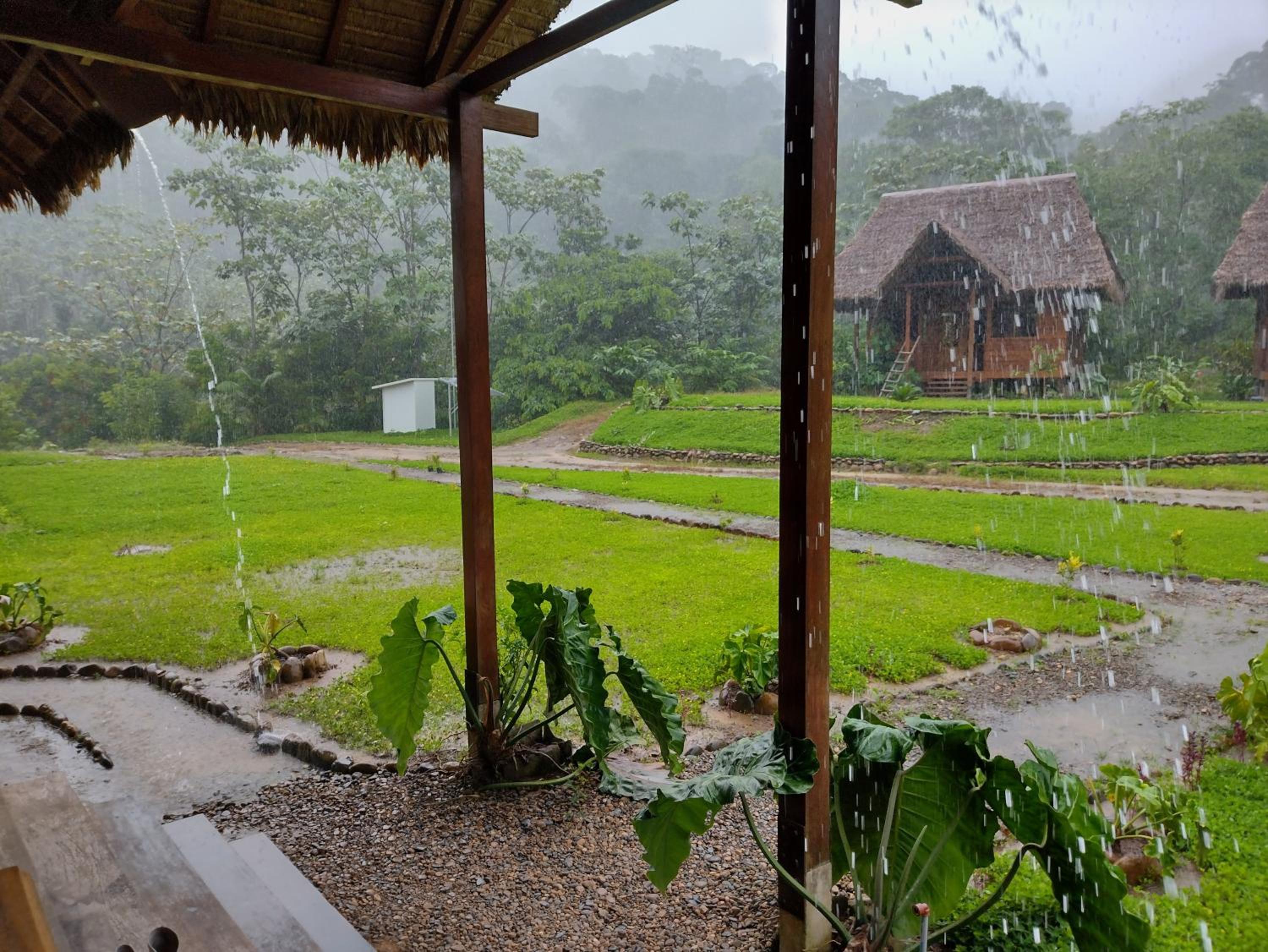 Kotsimba Lodge