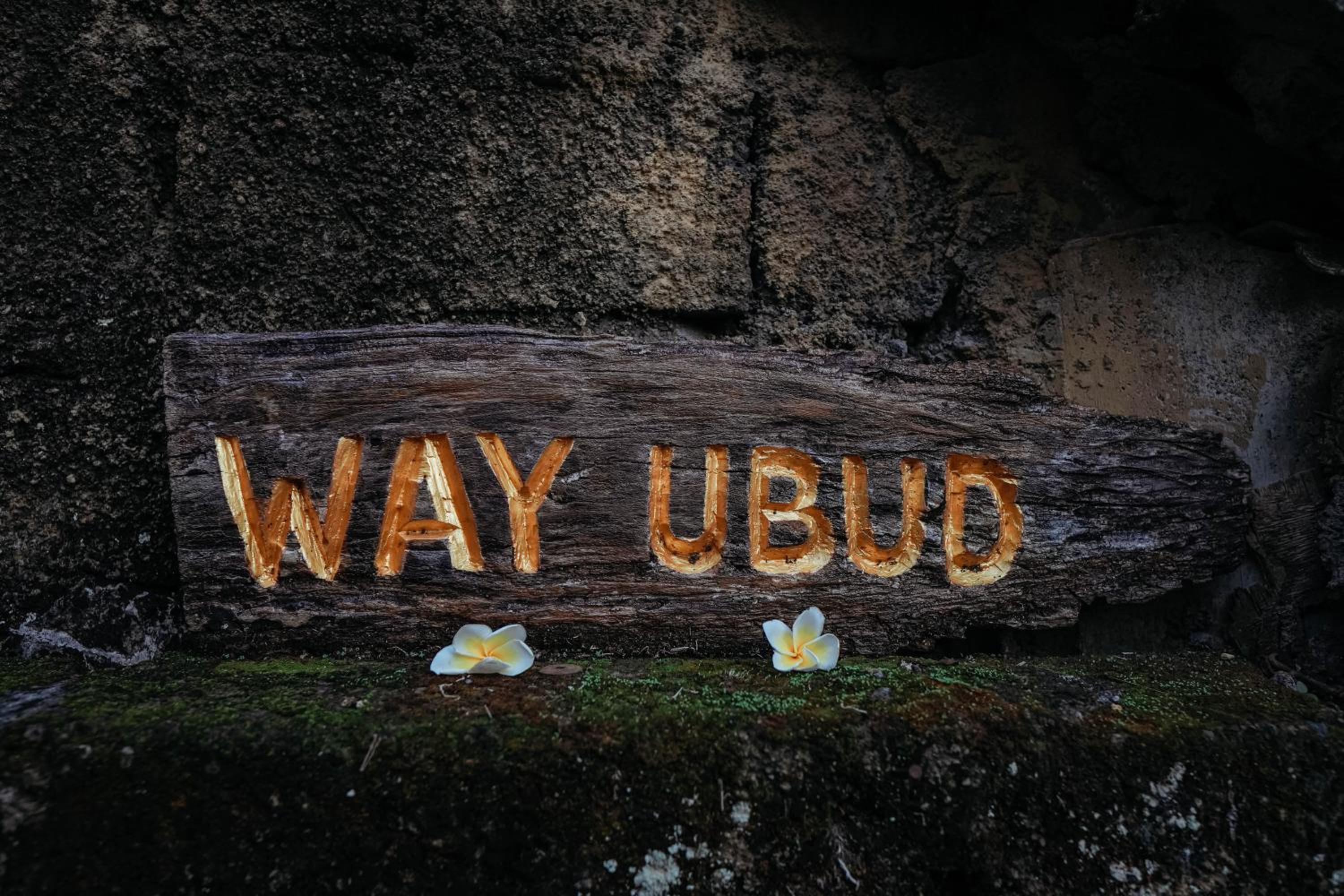 Way Ubud, Ubud - 9