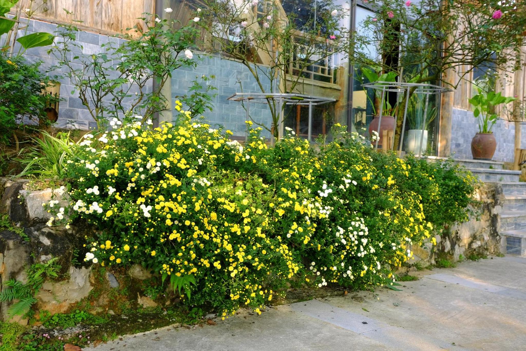Photo 40