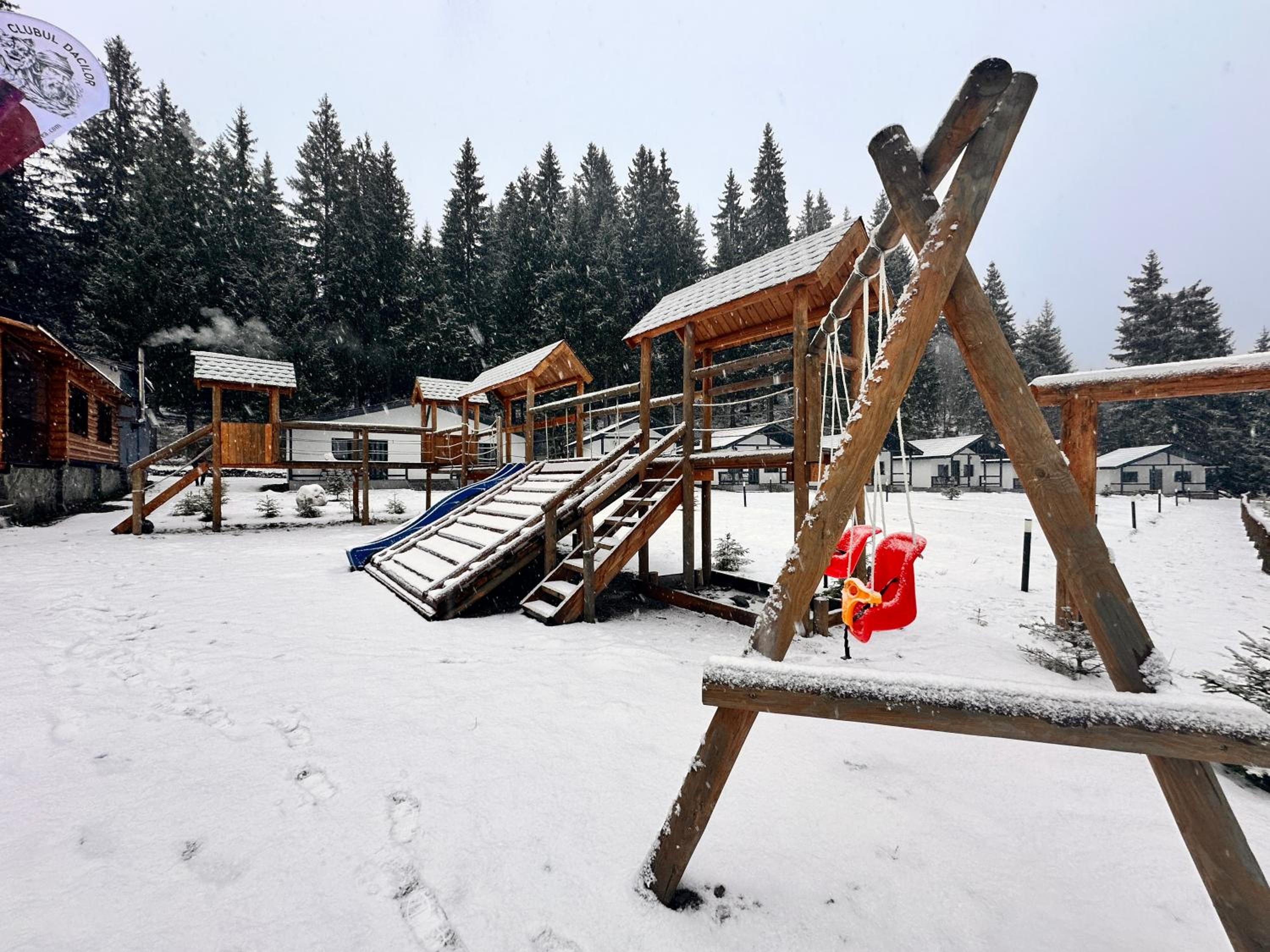 CLUBUL DACILOR