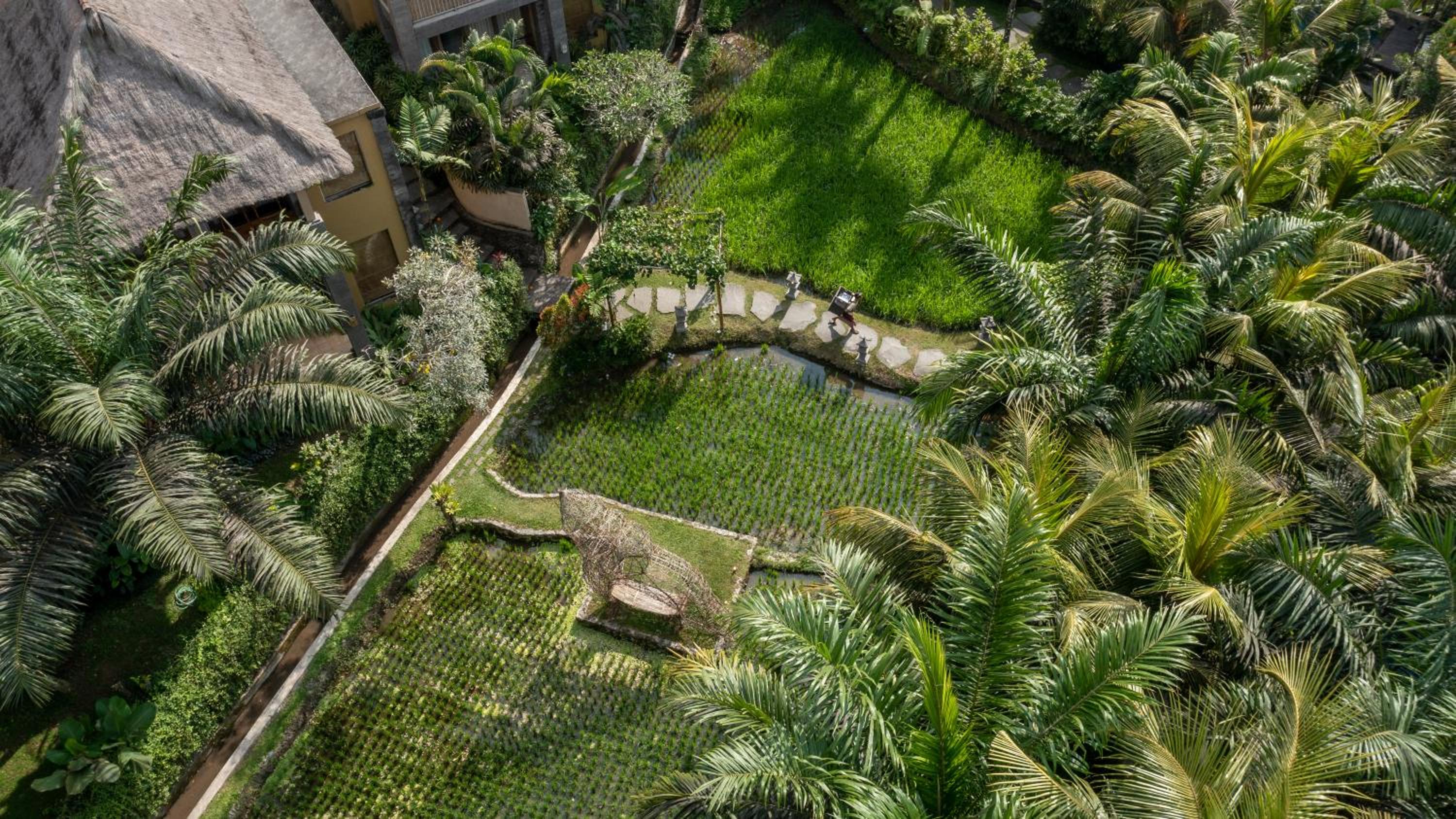 The Sankara Resort & Spa