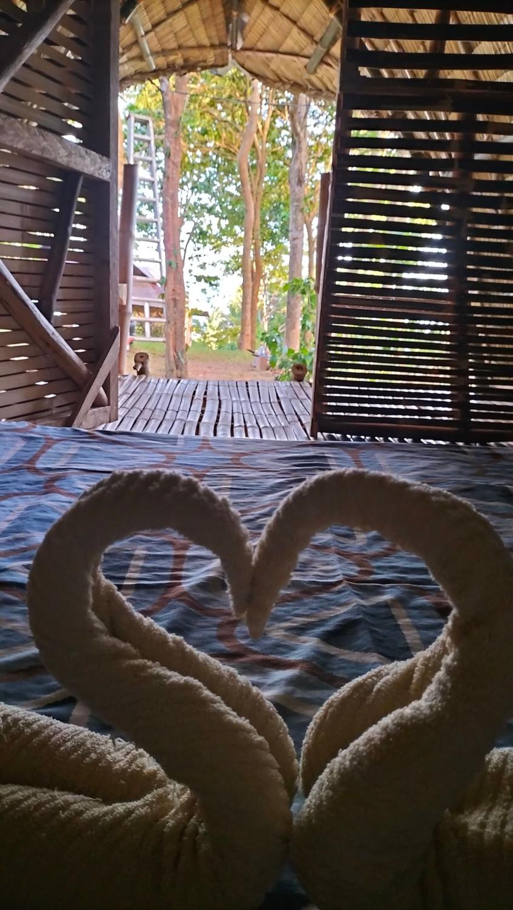 Erlittop Nature Lodge