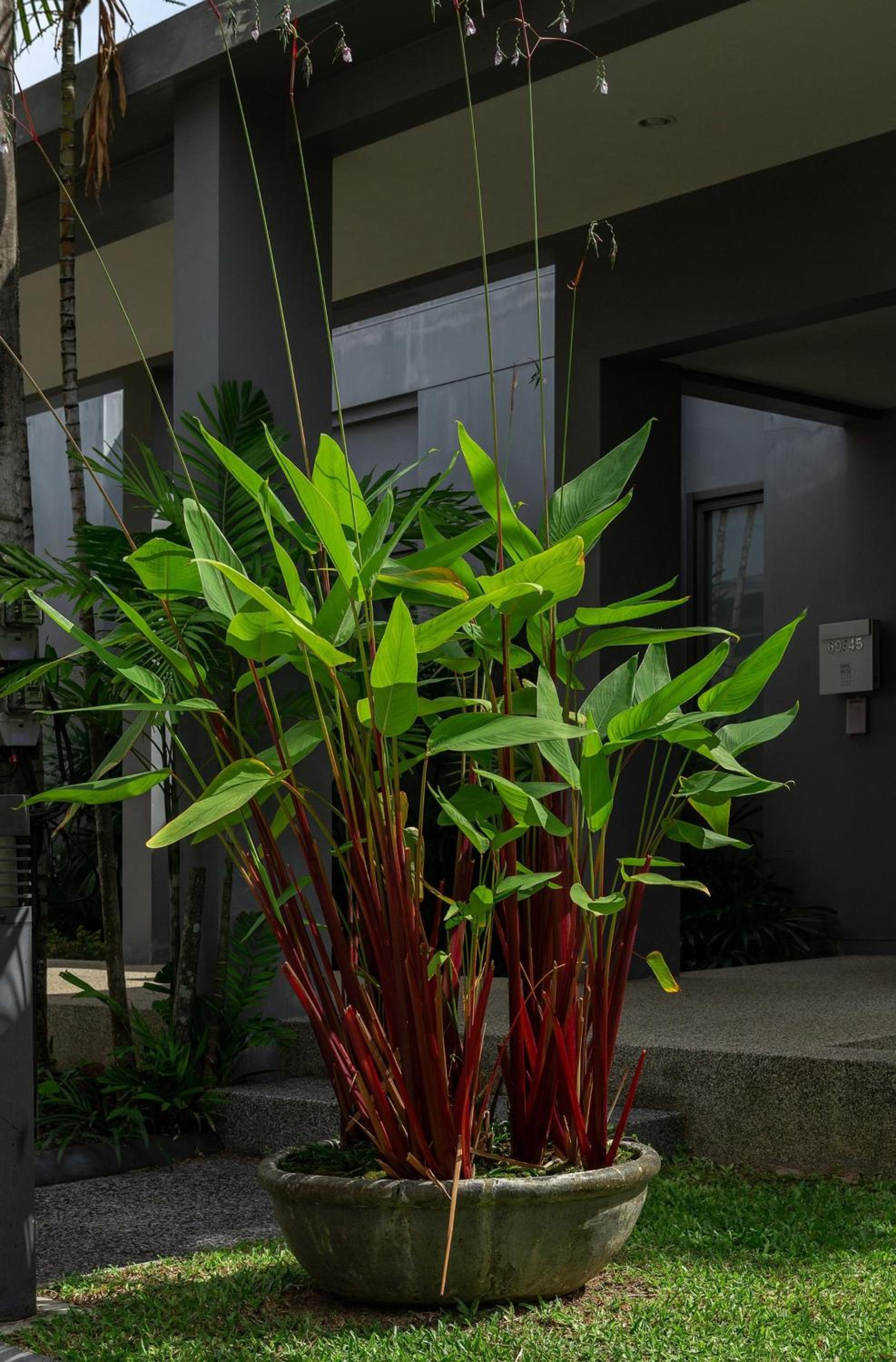 VILLA MIOS Private Pool 3 min Nai Harn Beach