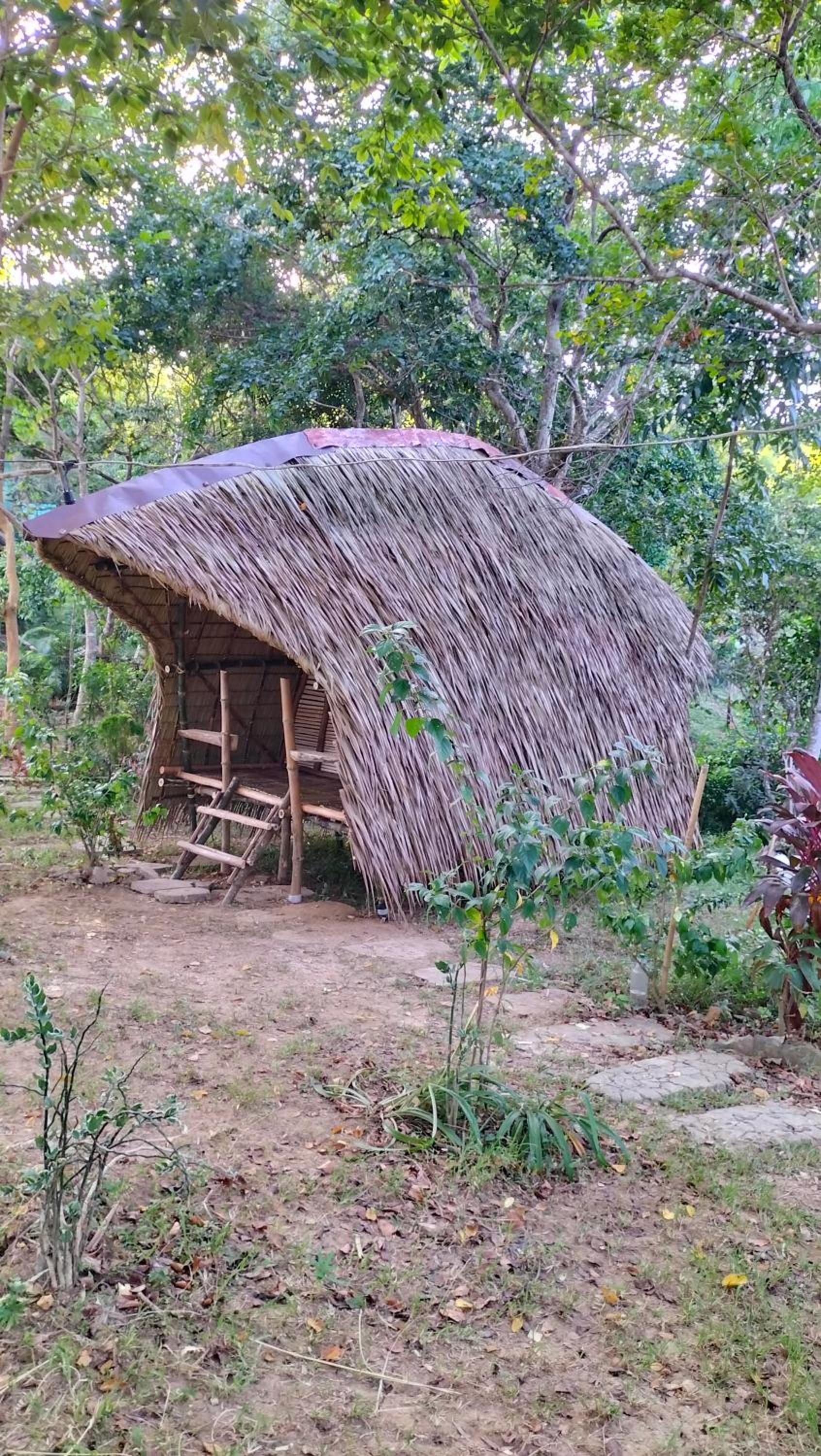 Erlittop Nature Lodge
