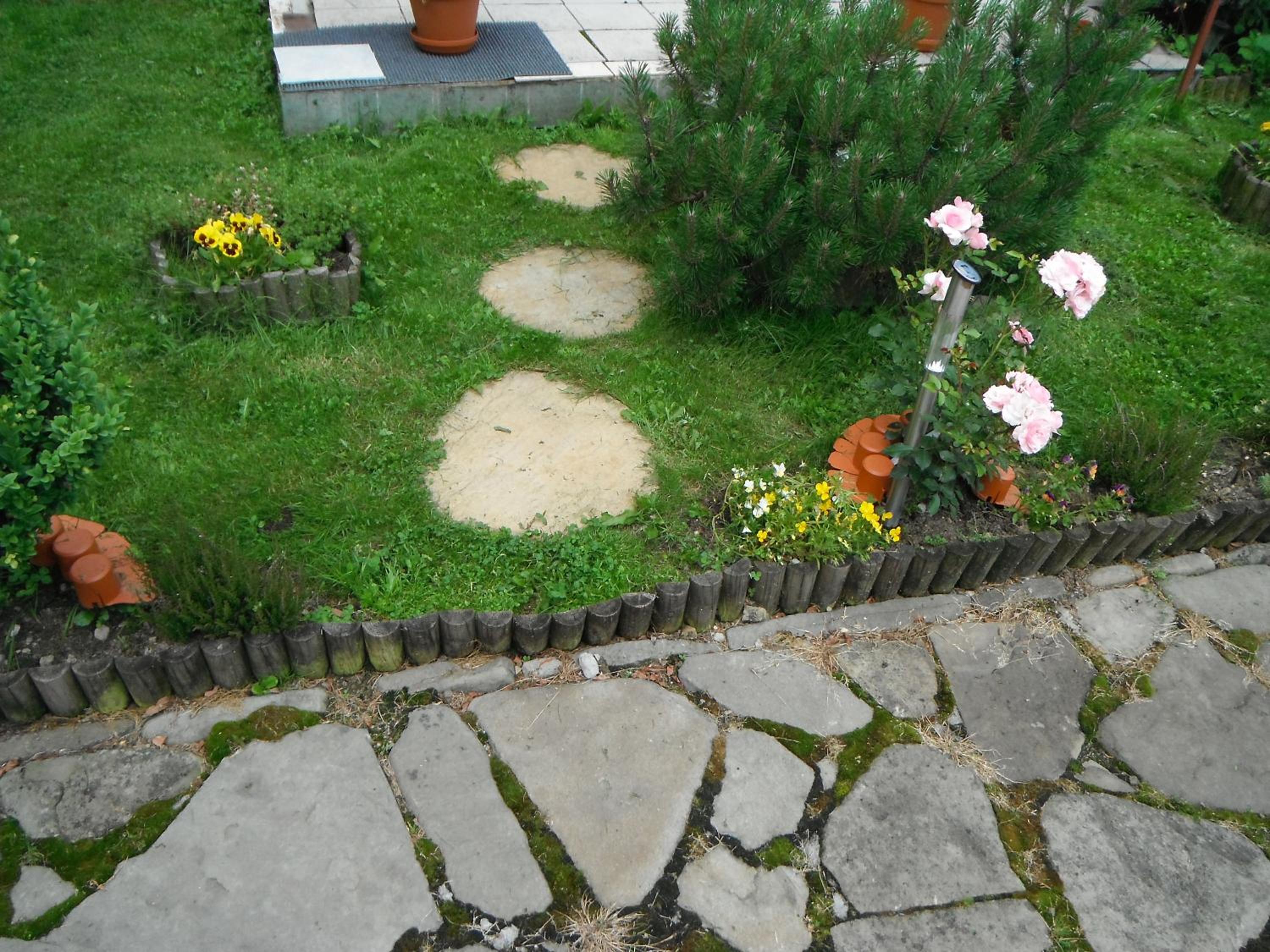 Photo 23