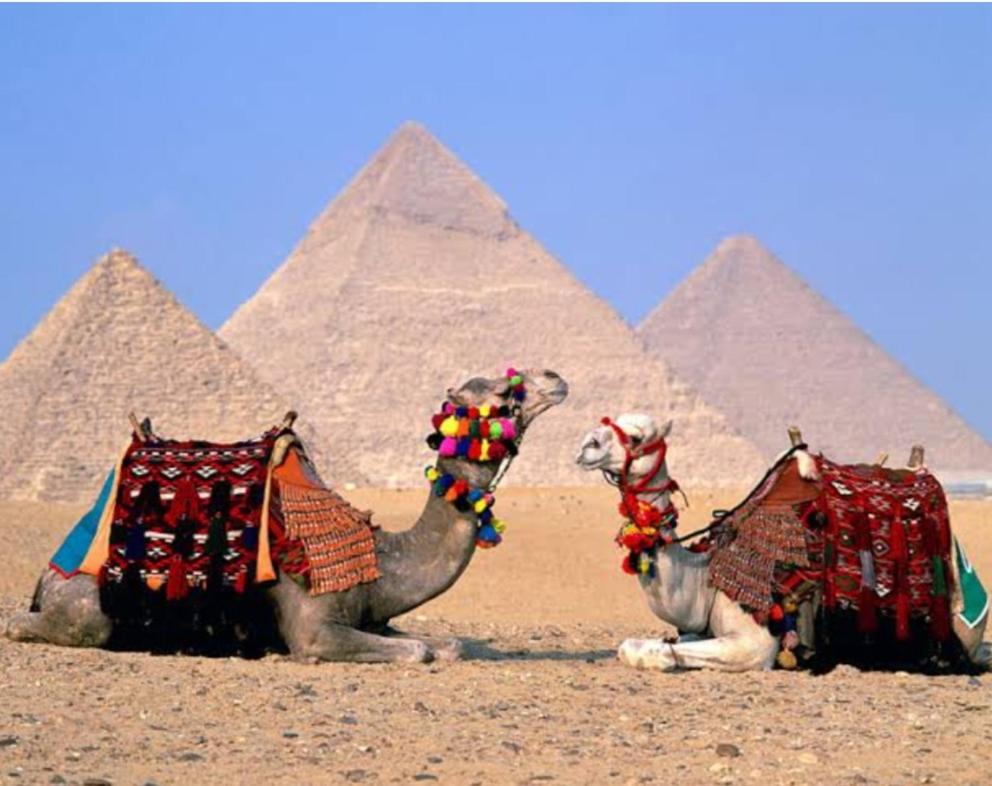 Eyad Pyramids view