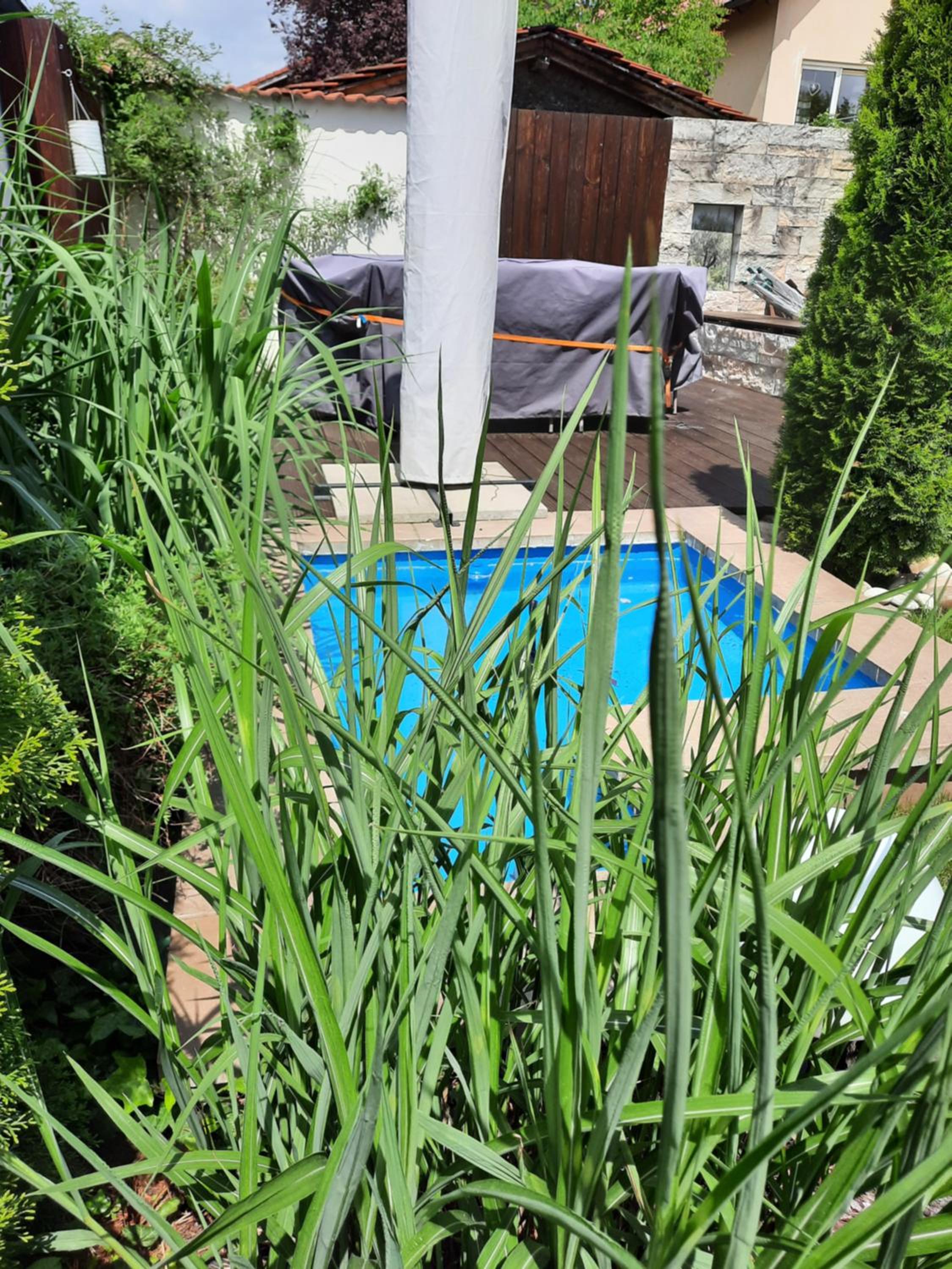 FeWo Zieger - Urlaub in Franken