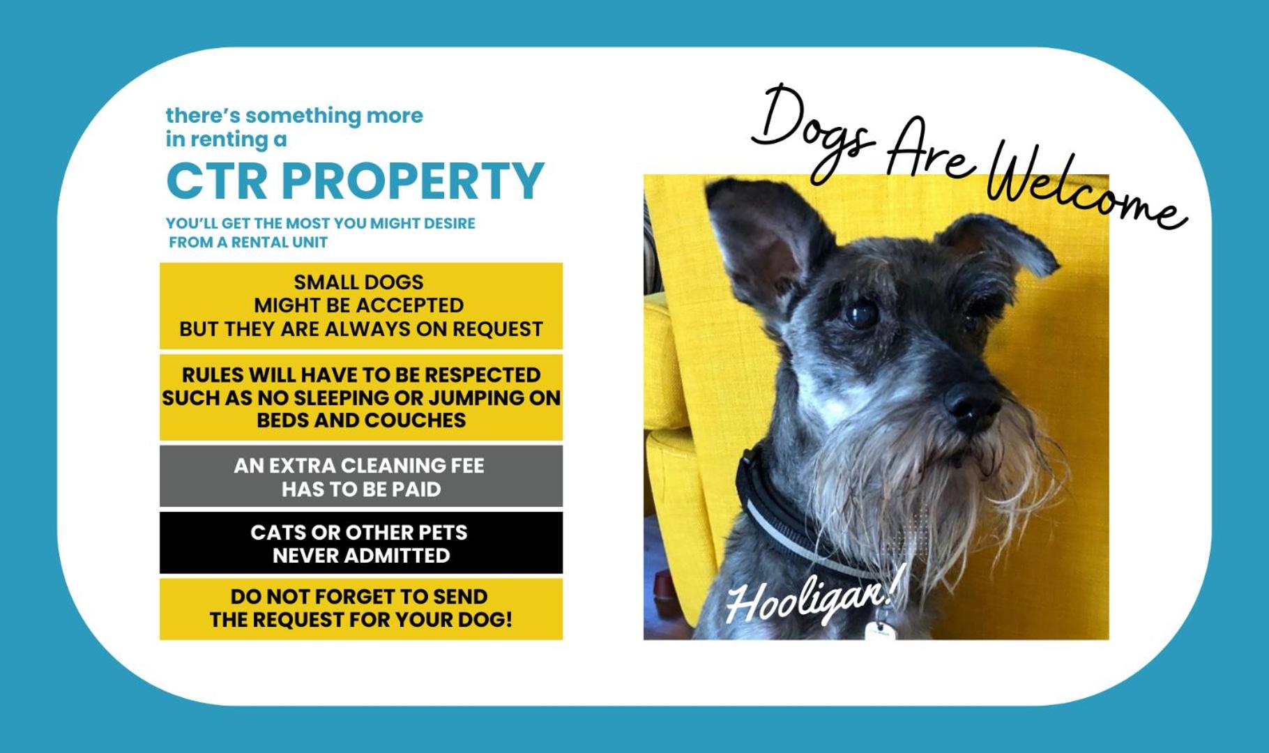 Recanissu Apartment with balcony & AC photo 3