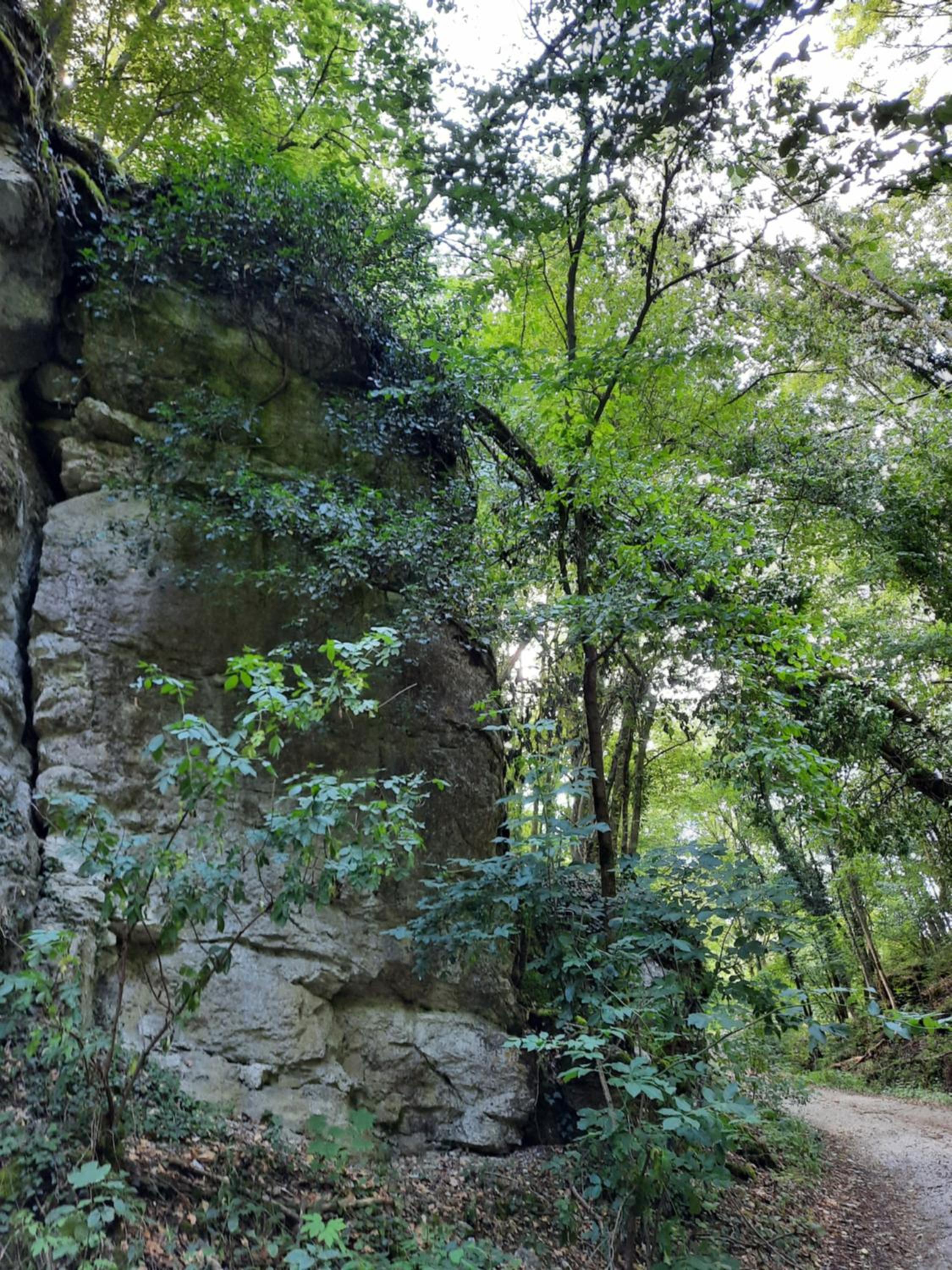 FeWo Zieger - Urlaub in Franken