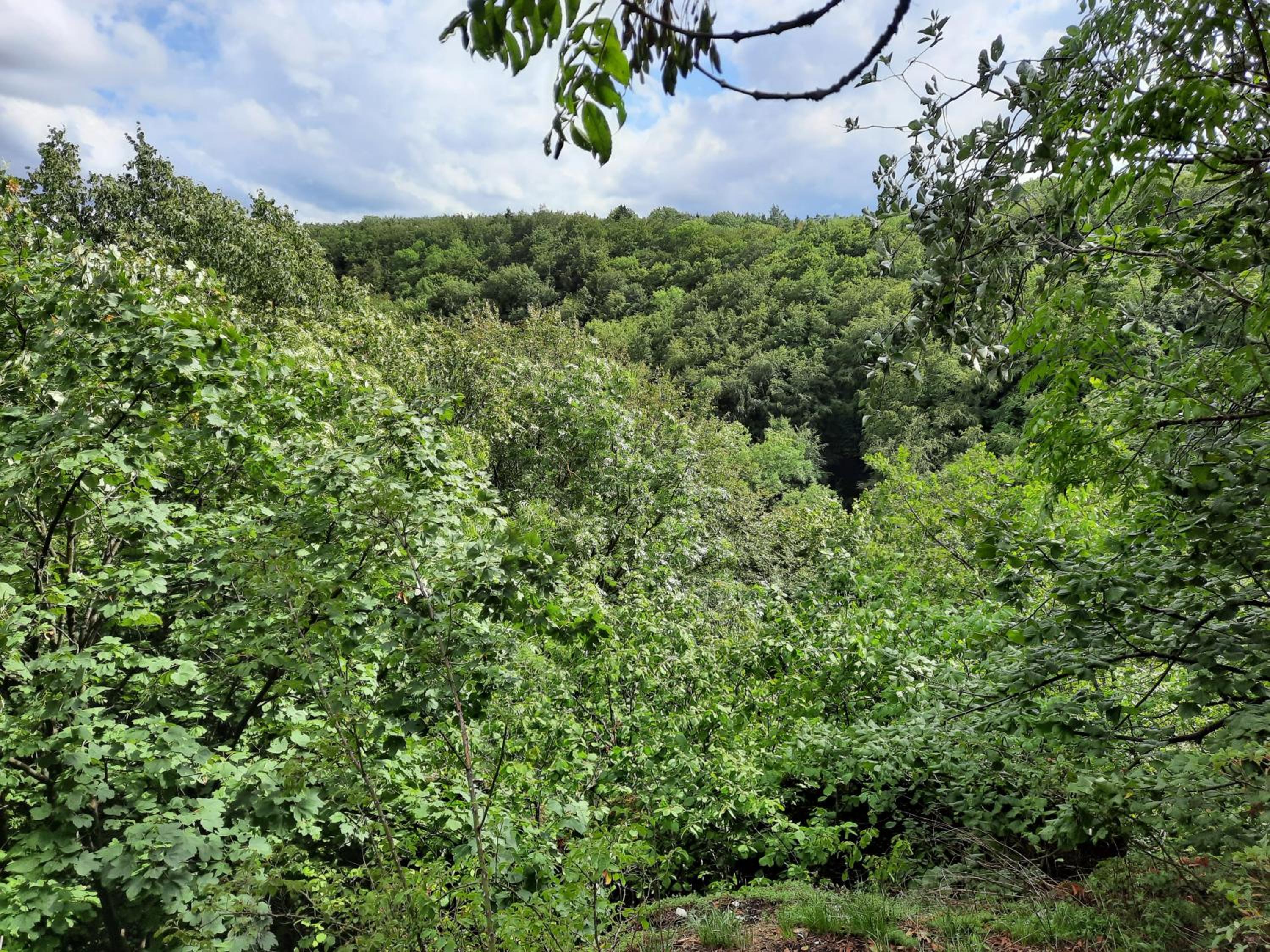 FeWo Zieger - Urlaub in Franken