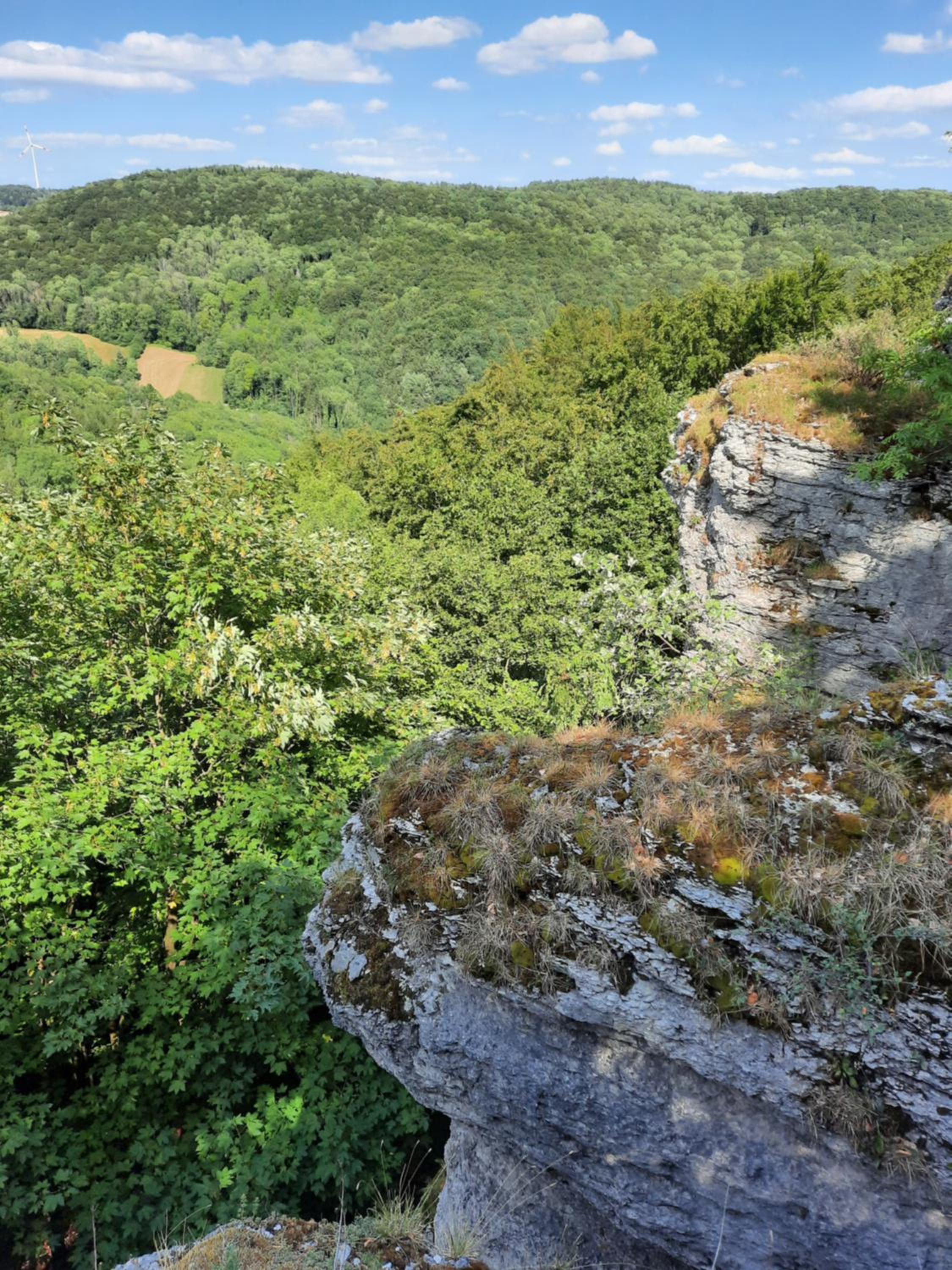 FeWo Zieger - Urlaub in Franken