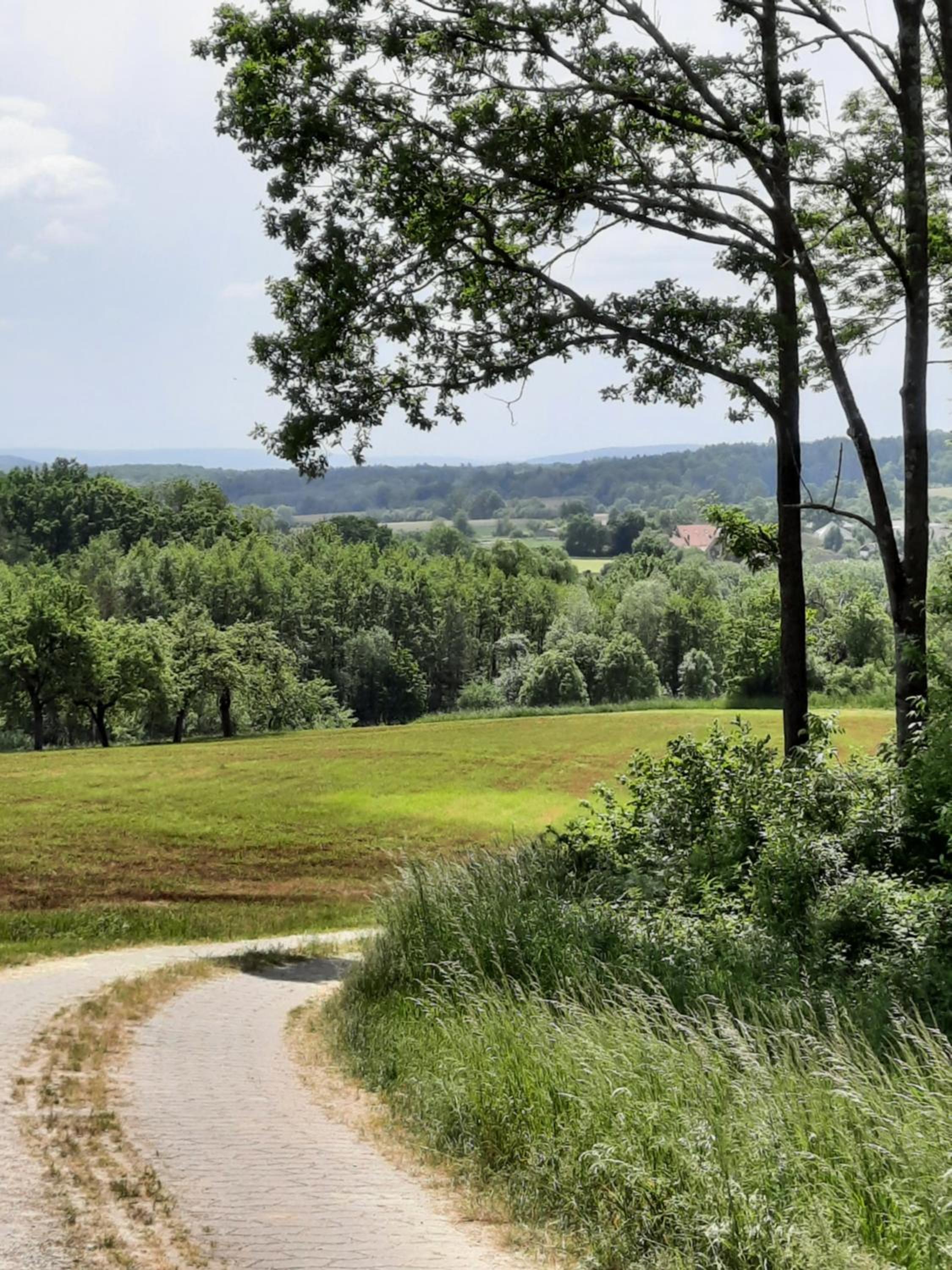 FeWo Zieger - Urlaub in Franken