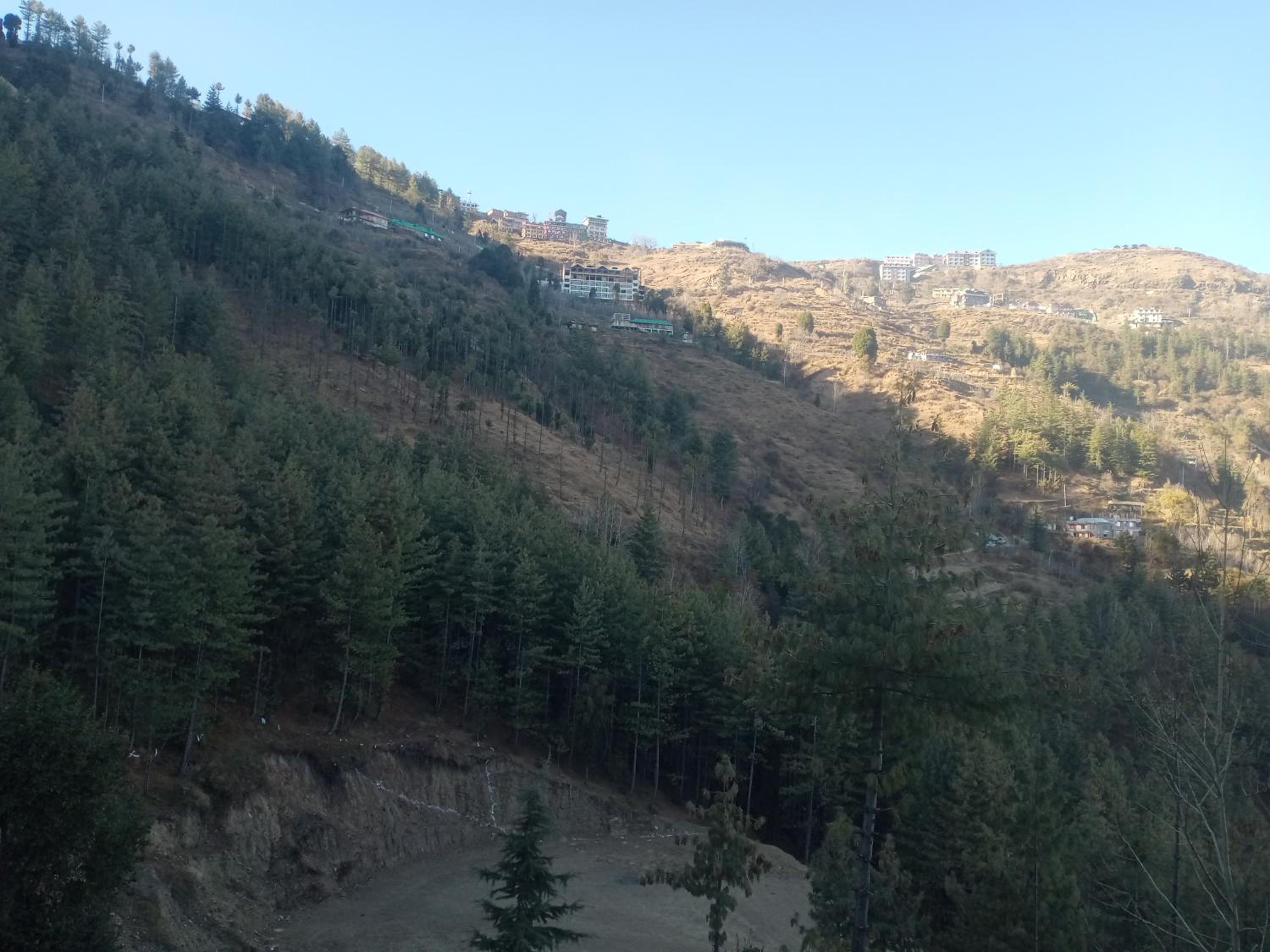 Krishna Kunj homestay