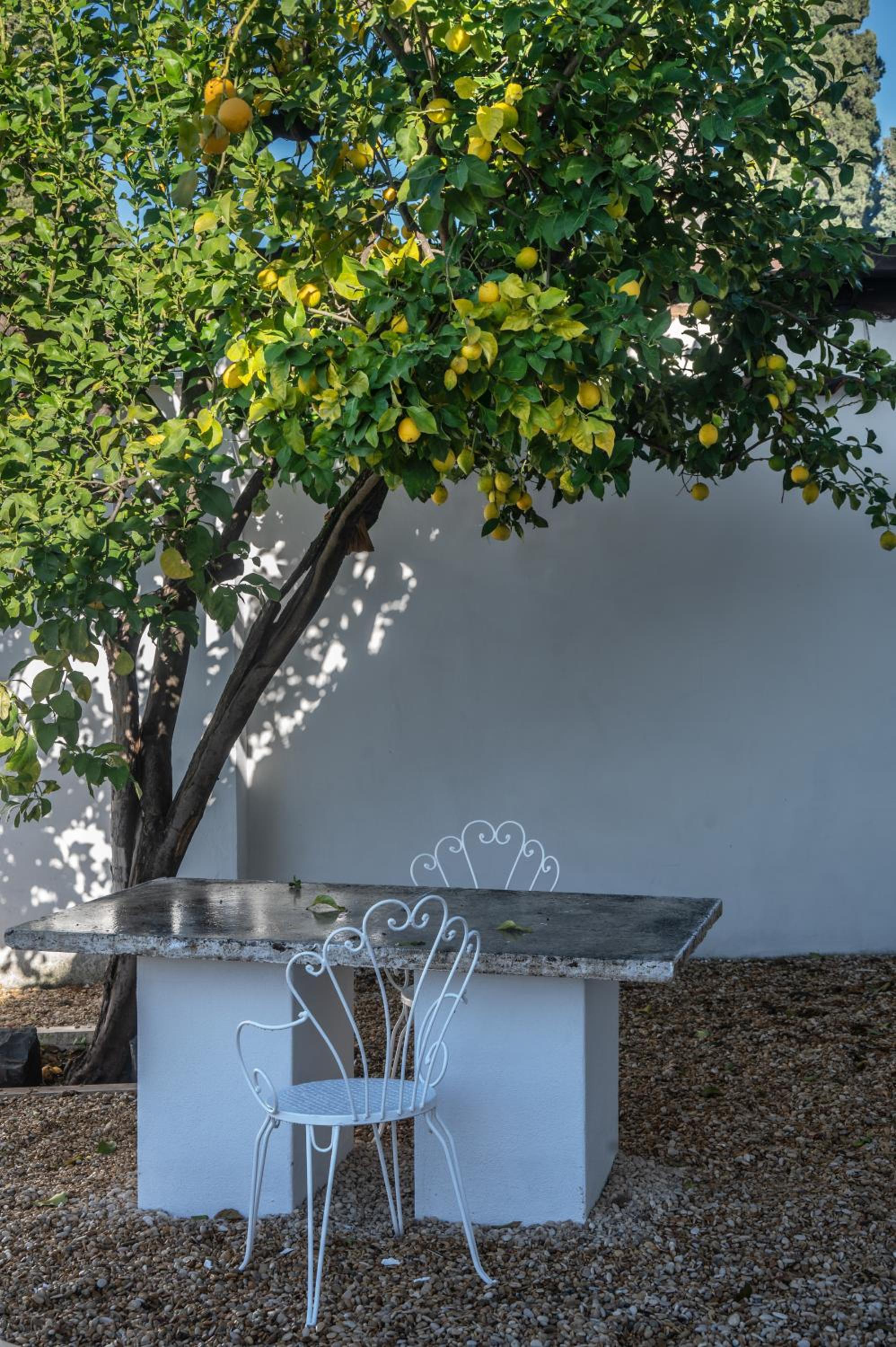lemon suites apartments