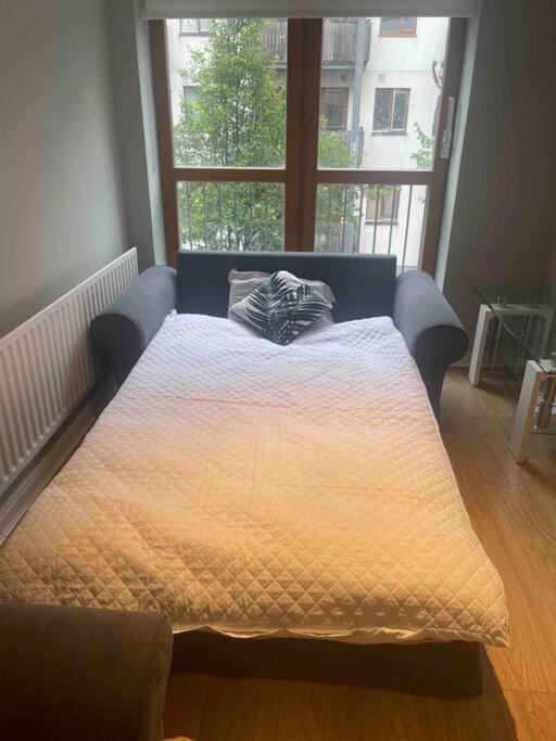 In Dublin's Best Tourist Spot Temple Bar Fully Renovated