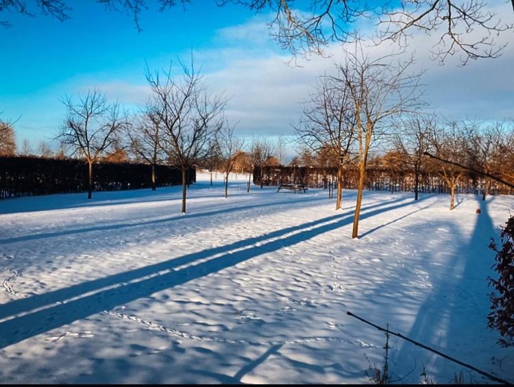 De Appelhoeve view 5