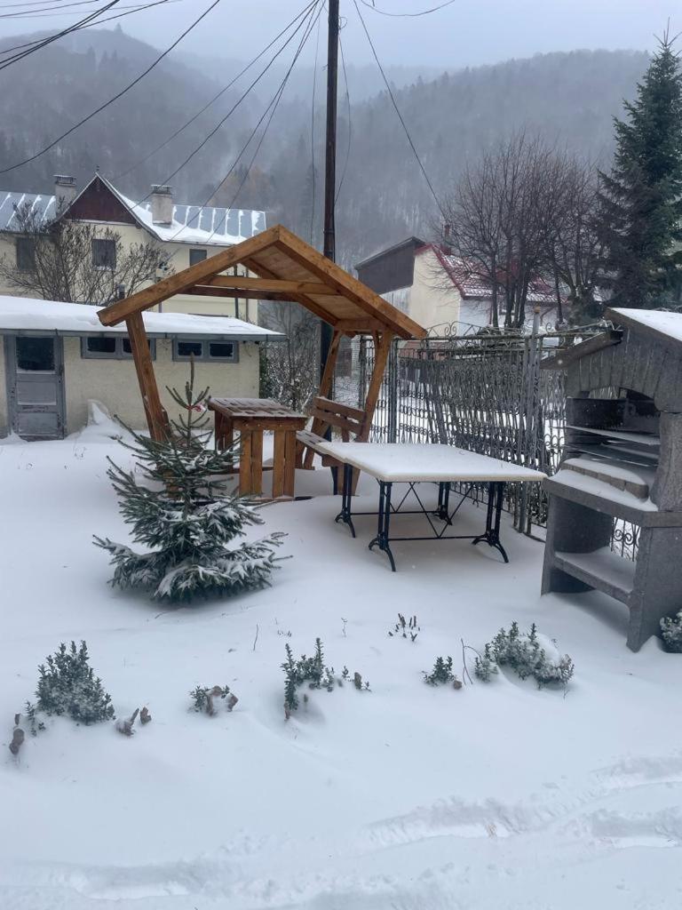 Elle Guest House Sinaia view 5