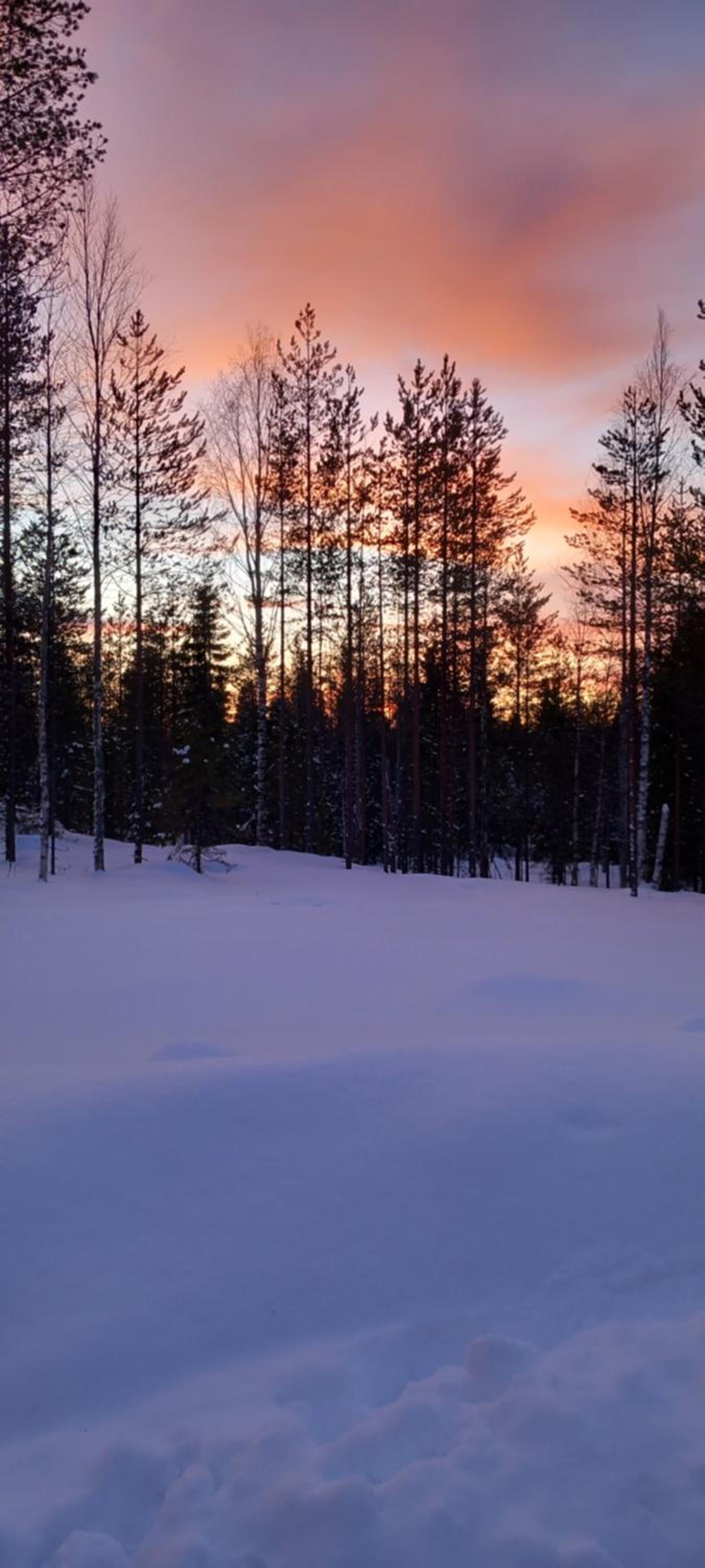Magic lapland villa