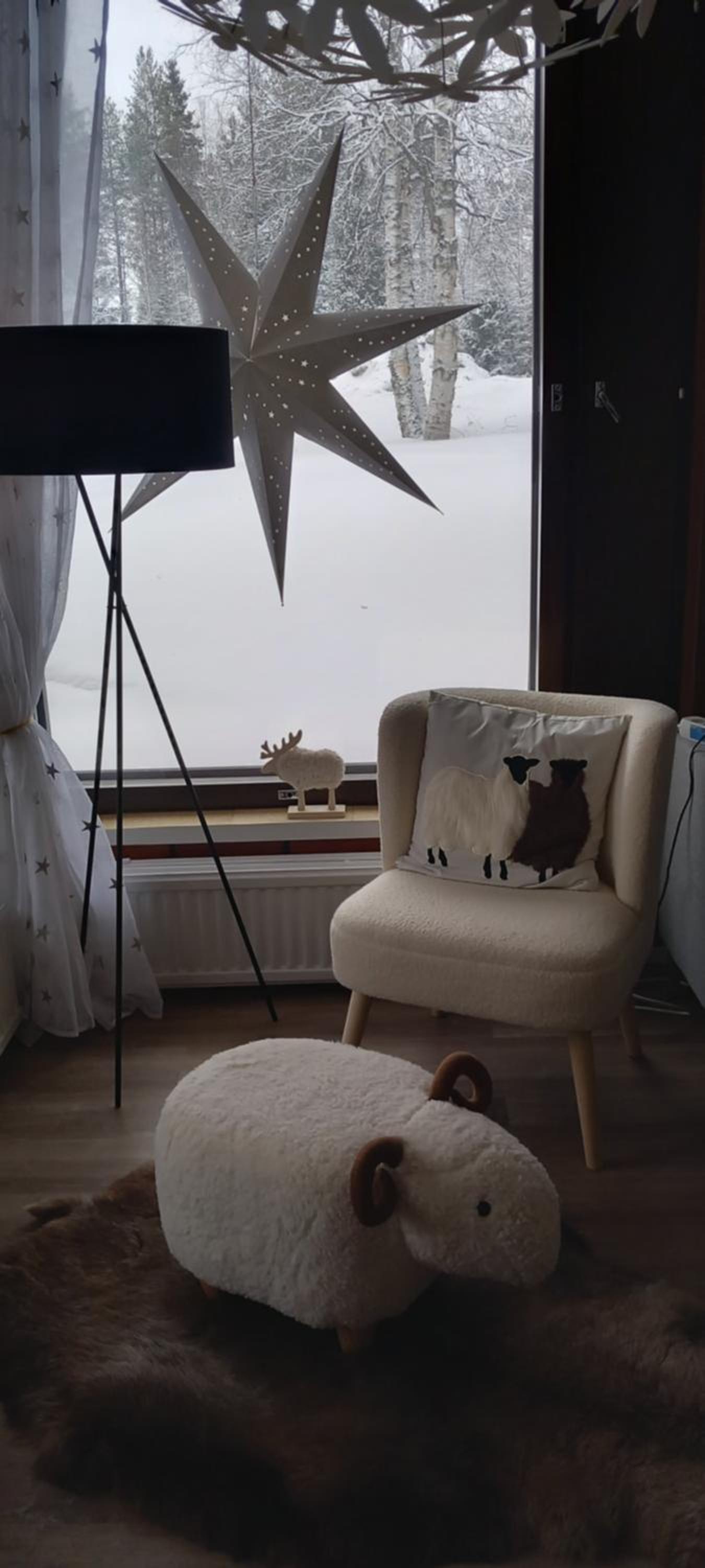 Magic lapland villa