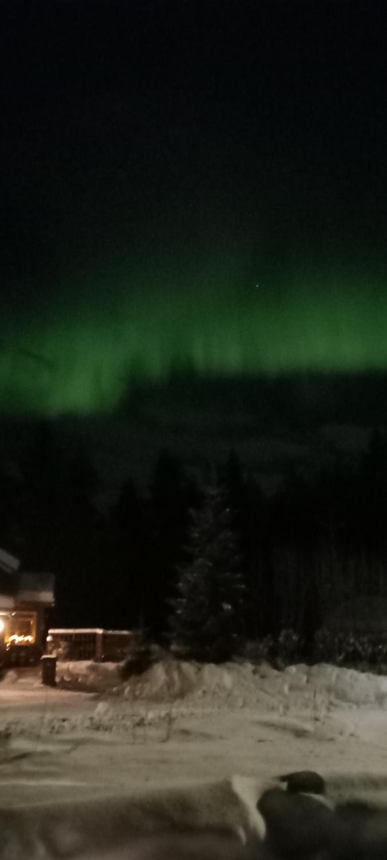 Magic lapland villa