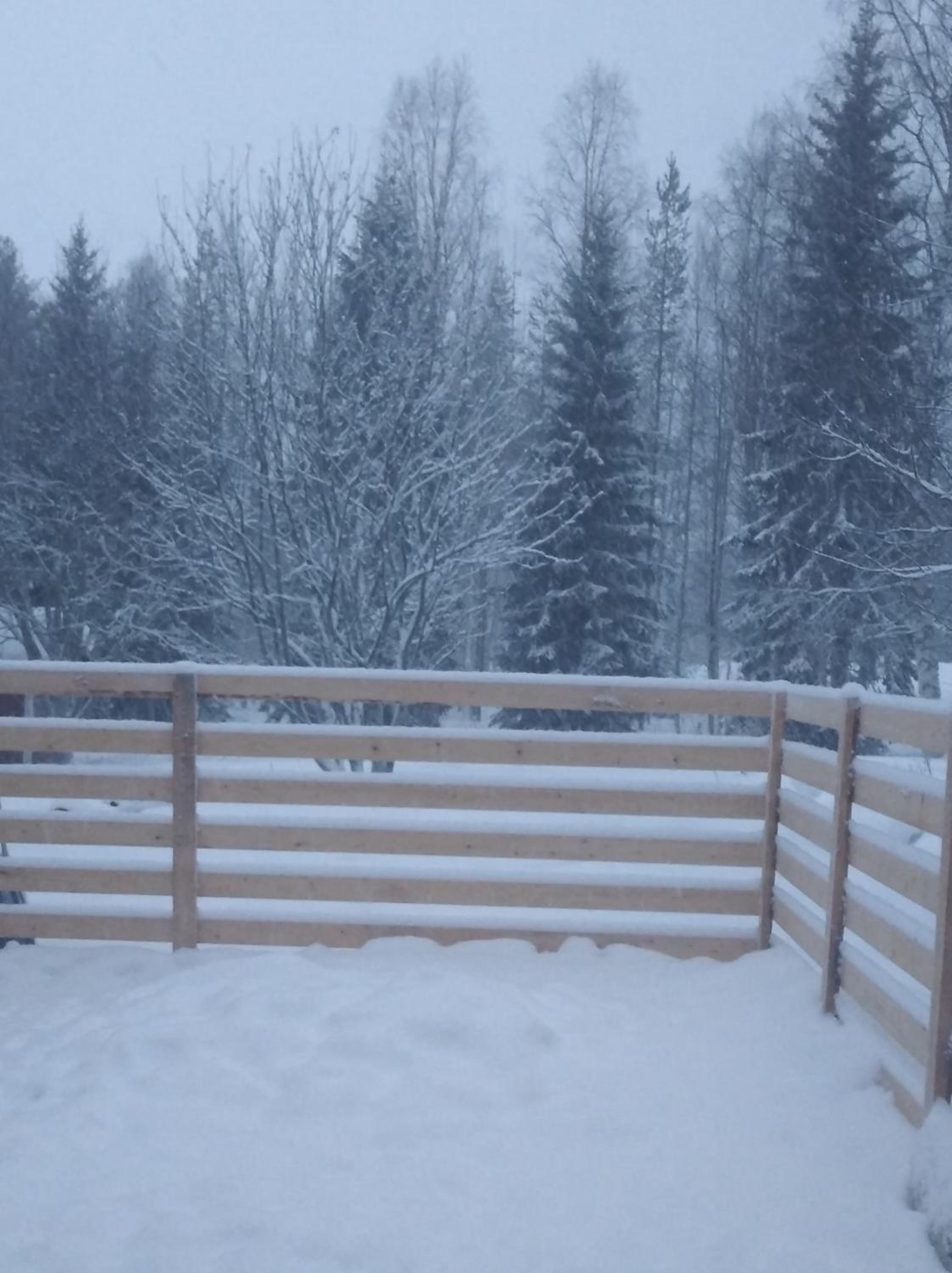 Magic lapland villa
