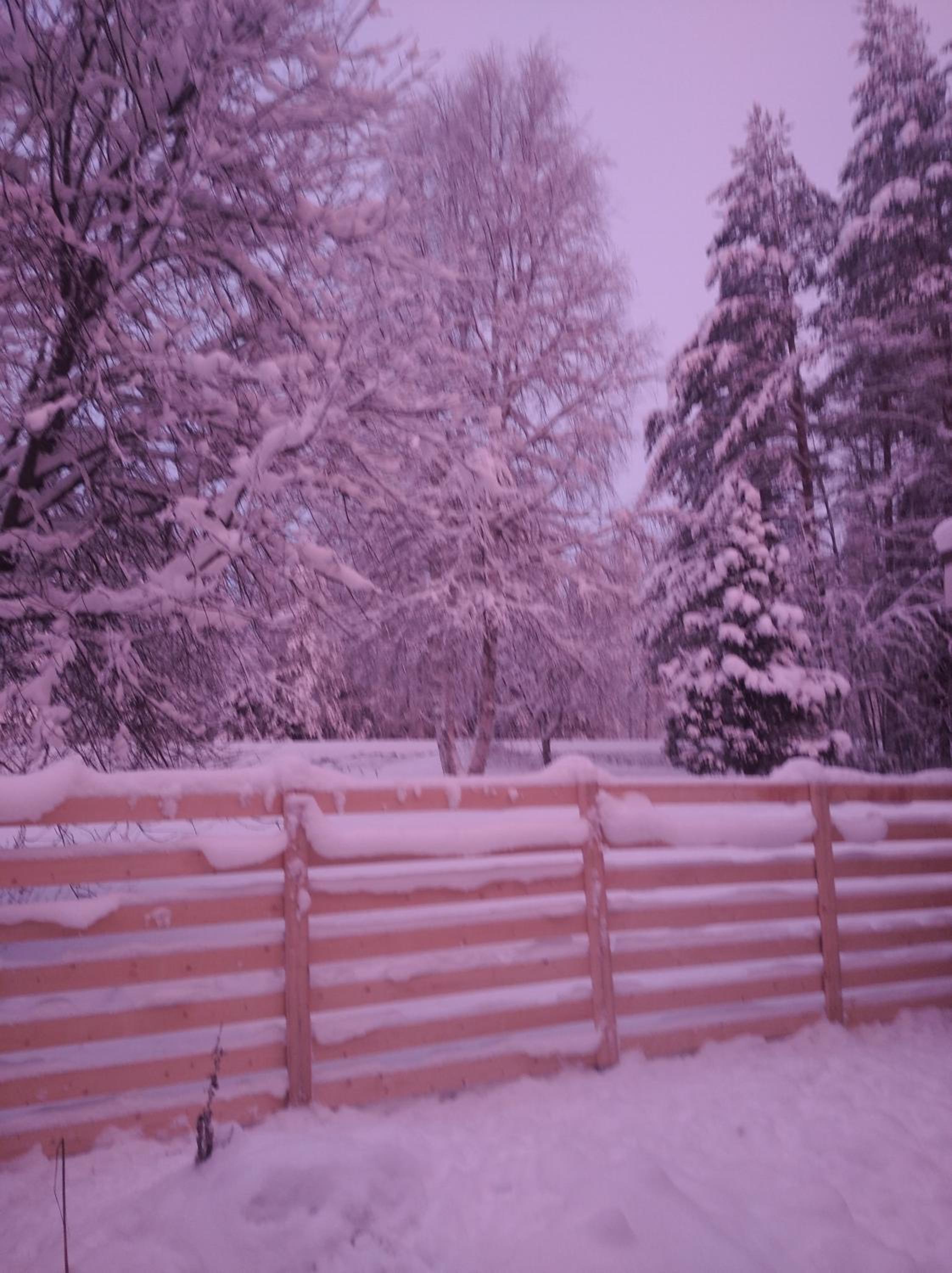 Magic lapland villa
