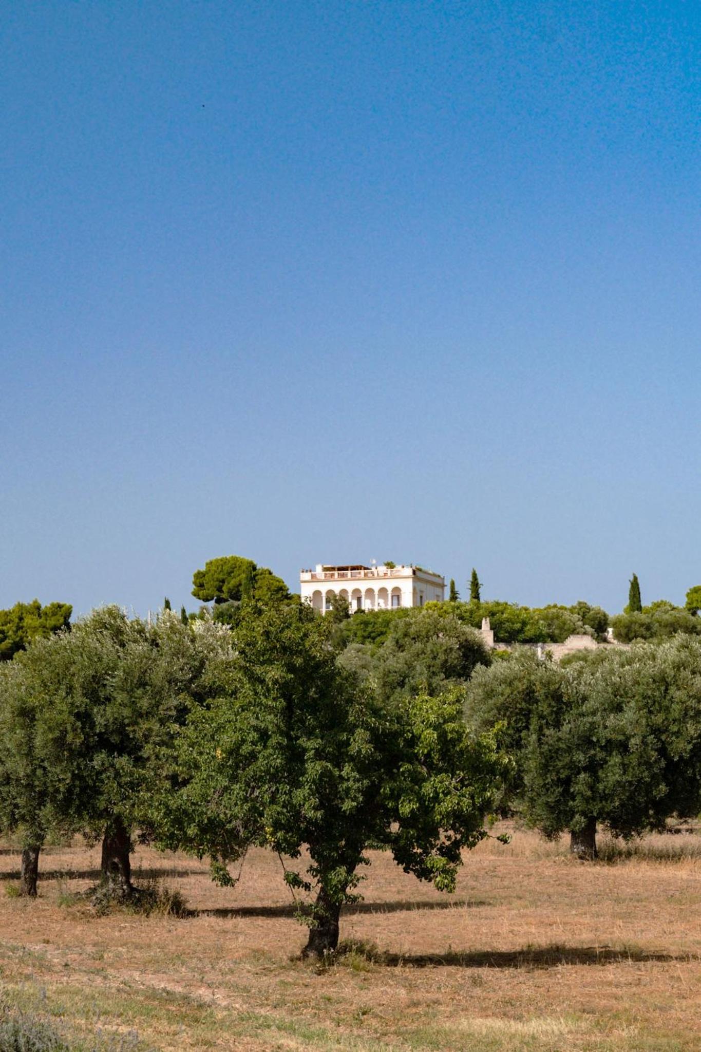 Mastropà Exclusive Resort, photo 4