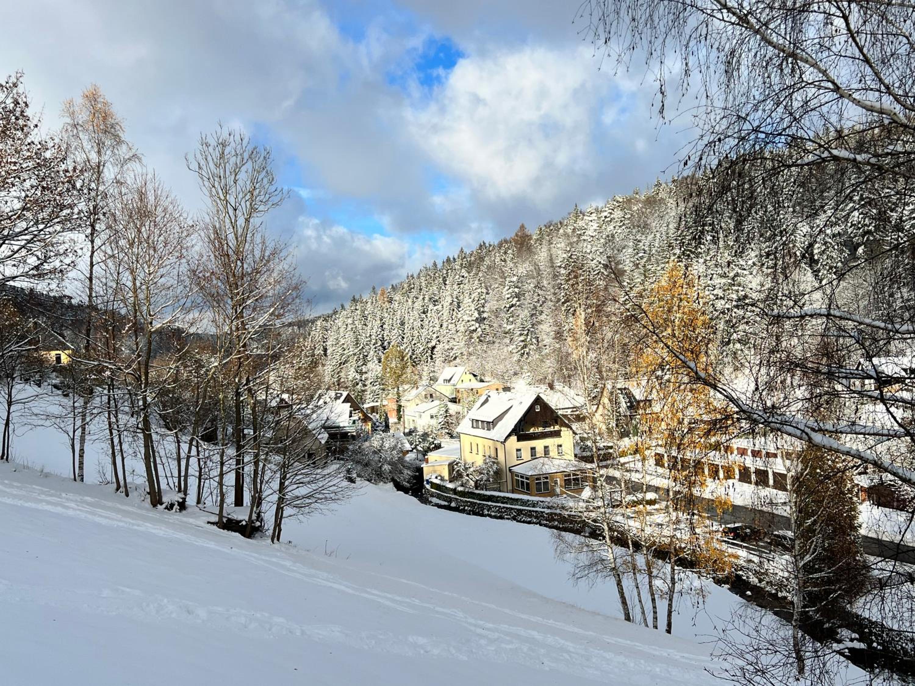 Urige Berghütte mit Kamin und Sauna im Erzgebirge nahe Schwarzwassertal