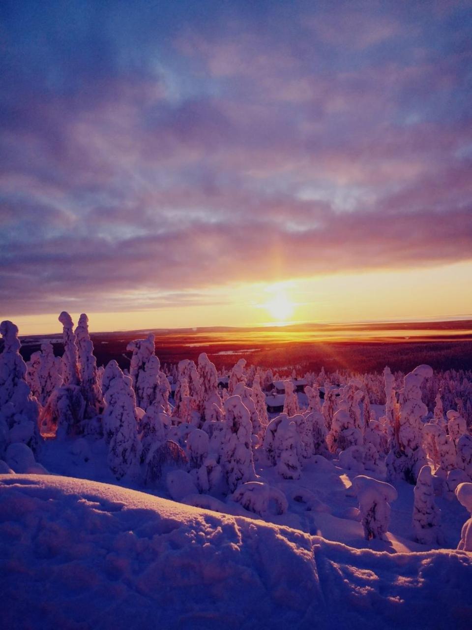 Lomanaamanka Naava-hirsimökki