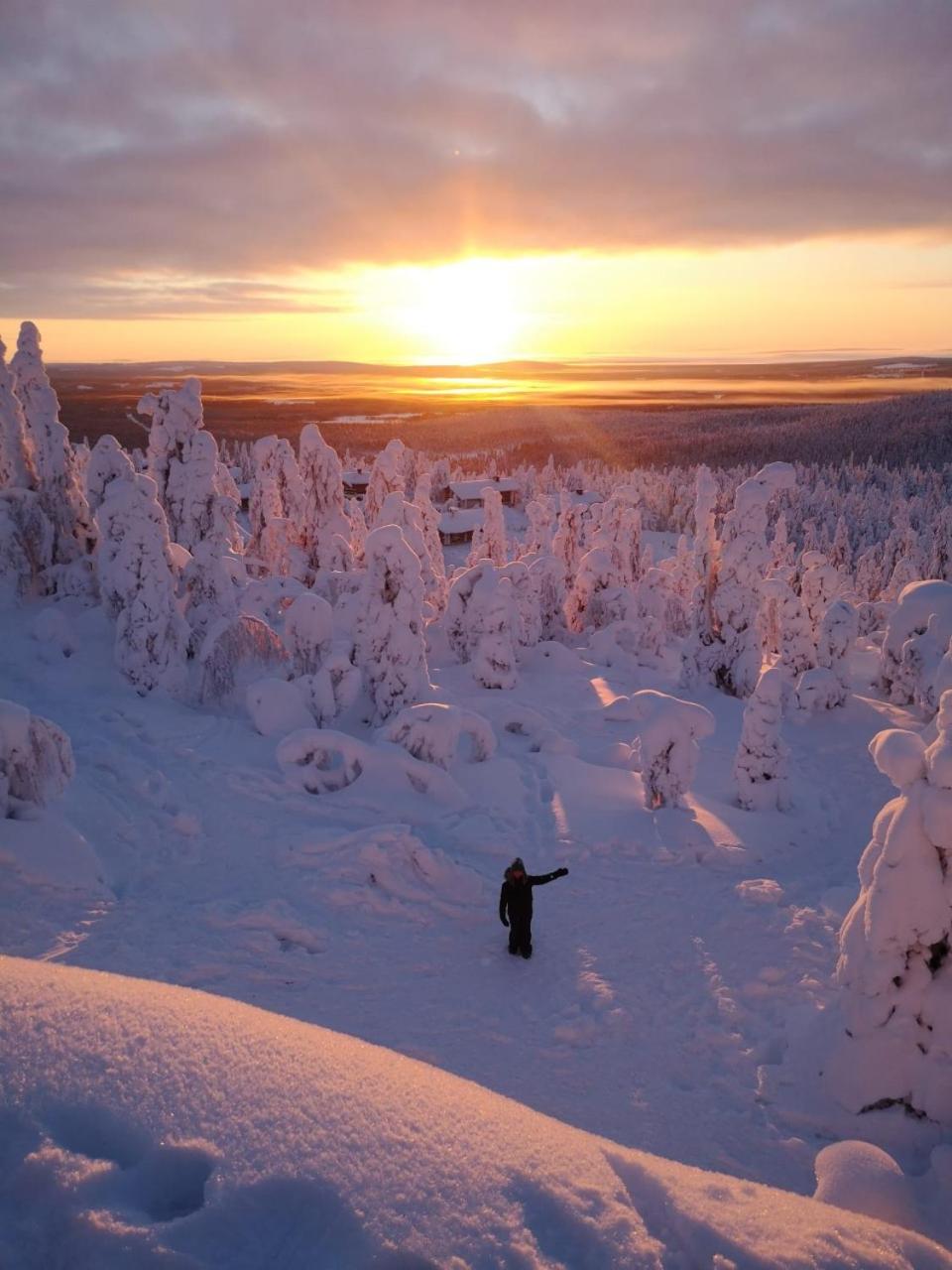 Lomanaamanka Naava-hirsimökki