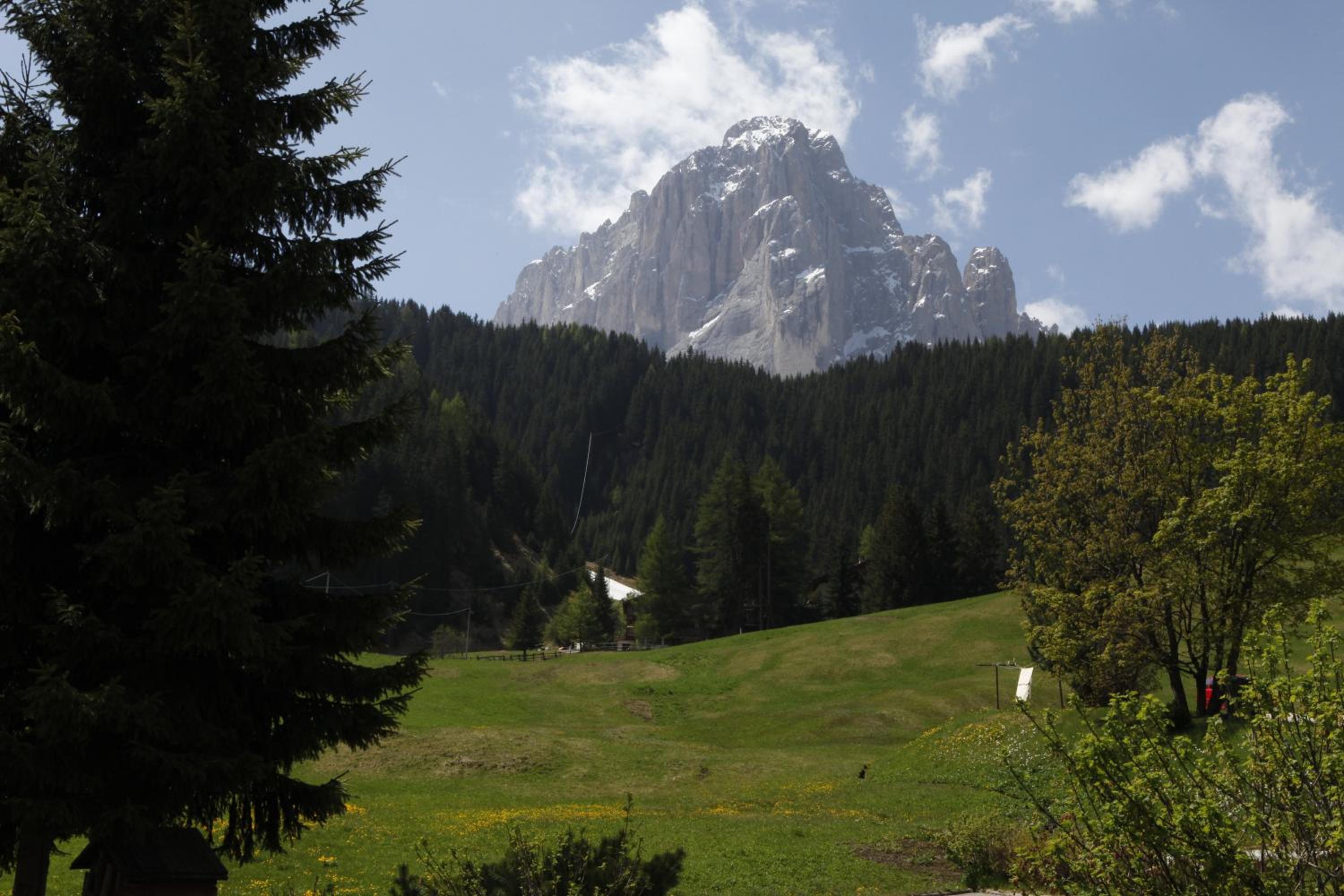 Photo 40