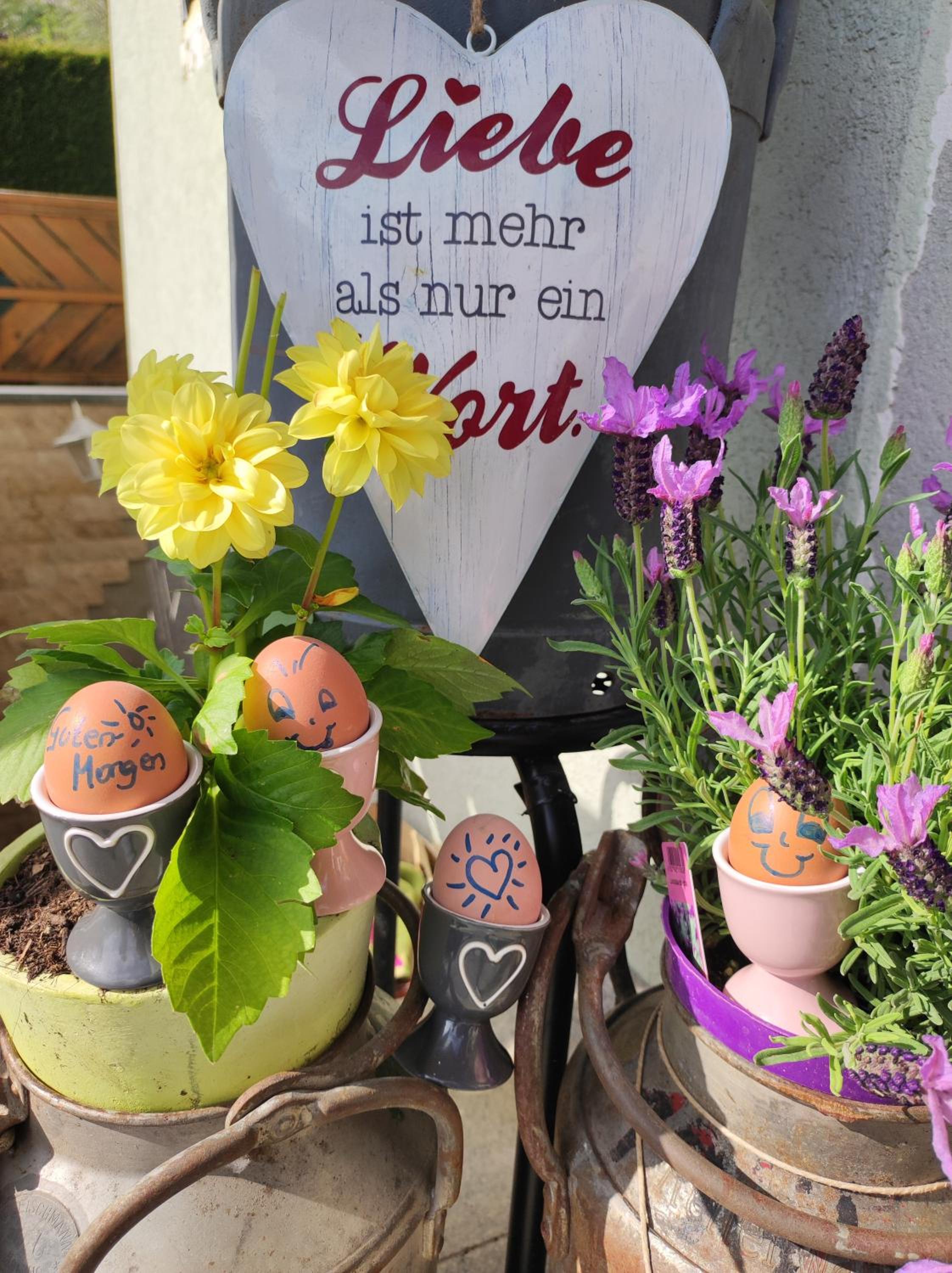 Bauernhof Sonnenhuab