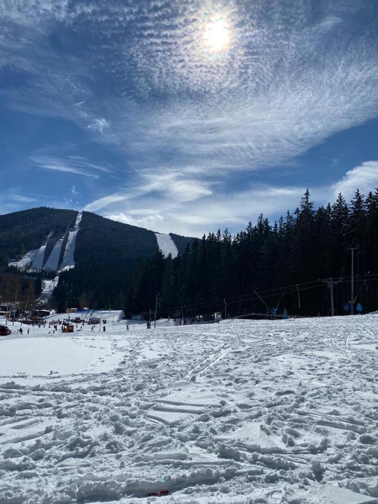 Spirit Harrachov Superior Wellness Apartment - FREE Wellness, Wifi, Parking