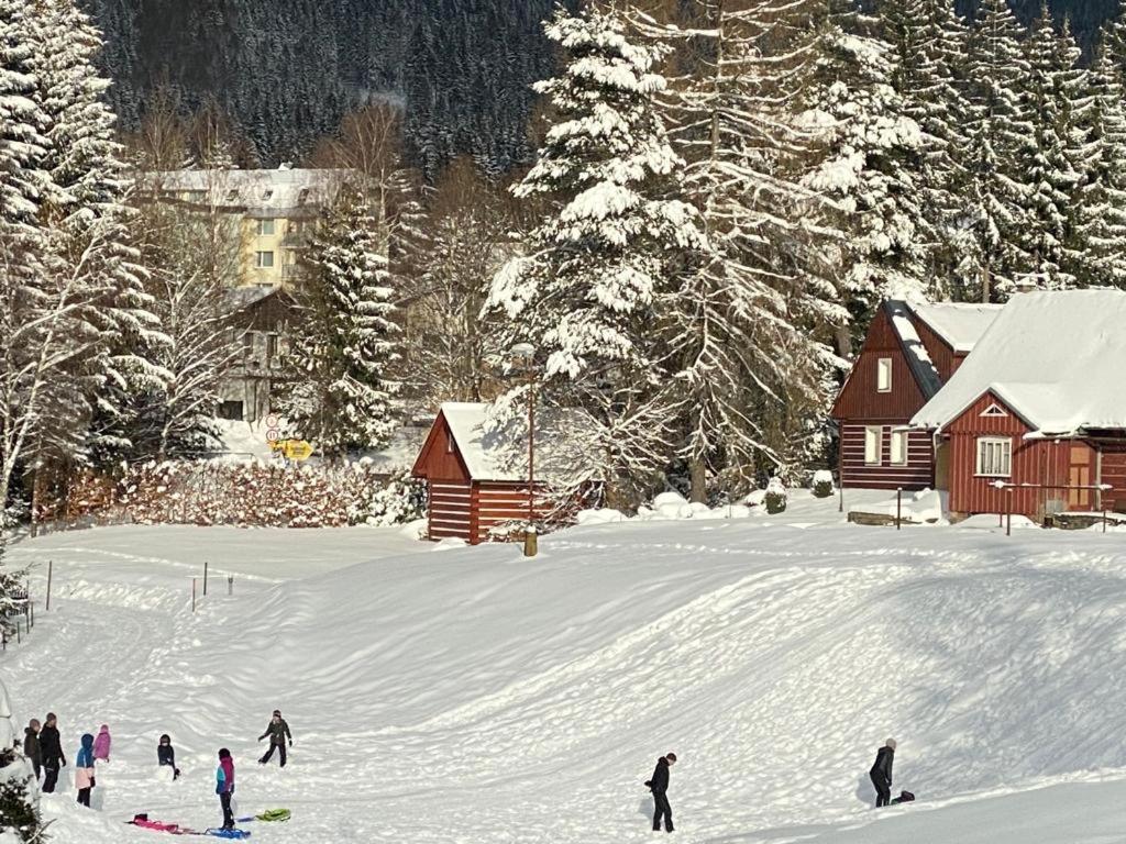 Spirit Harrachov Superior Wellness Apartment - FREE Wellness, Wifi, Parking