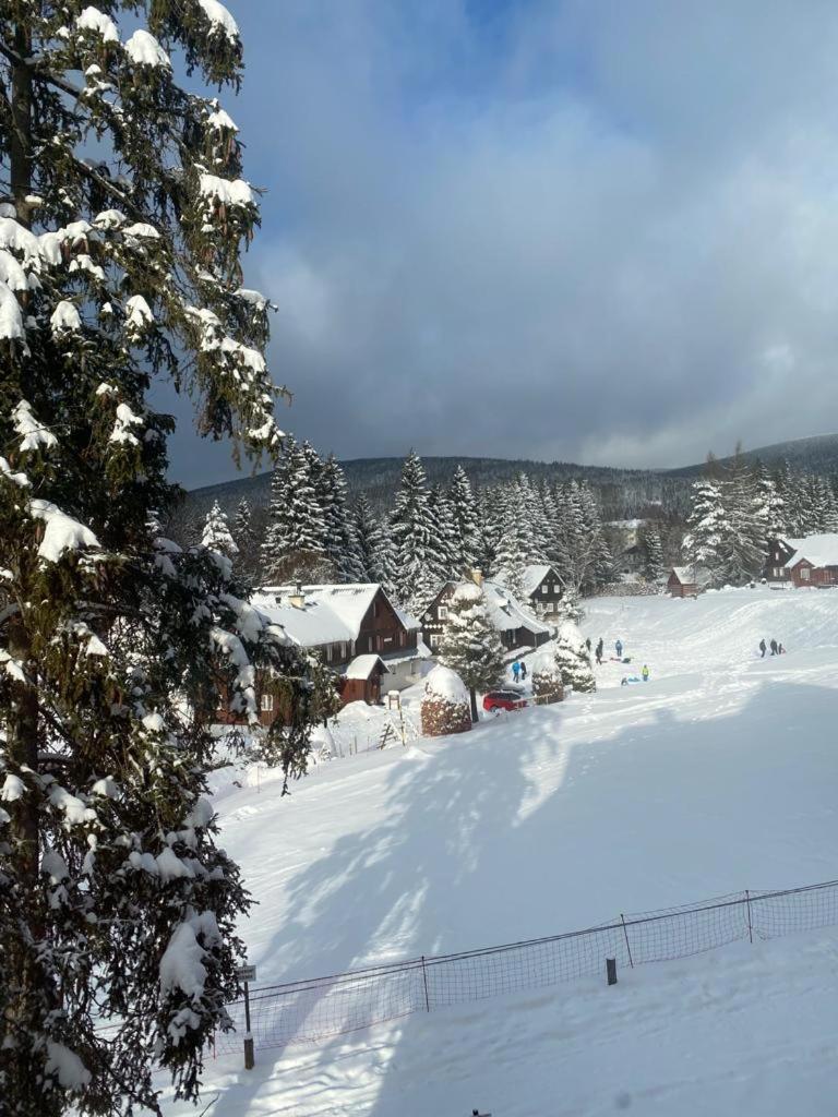 Spirit Harrachov Superior Wellness Apartment - FREE Wellness, Wifi, Parking