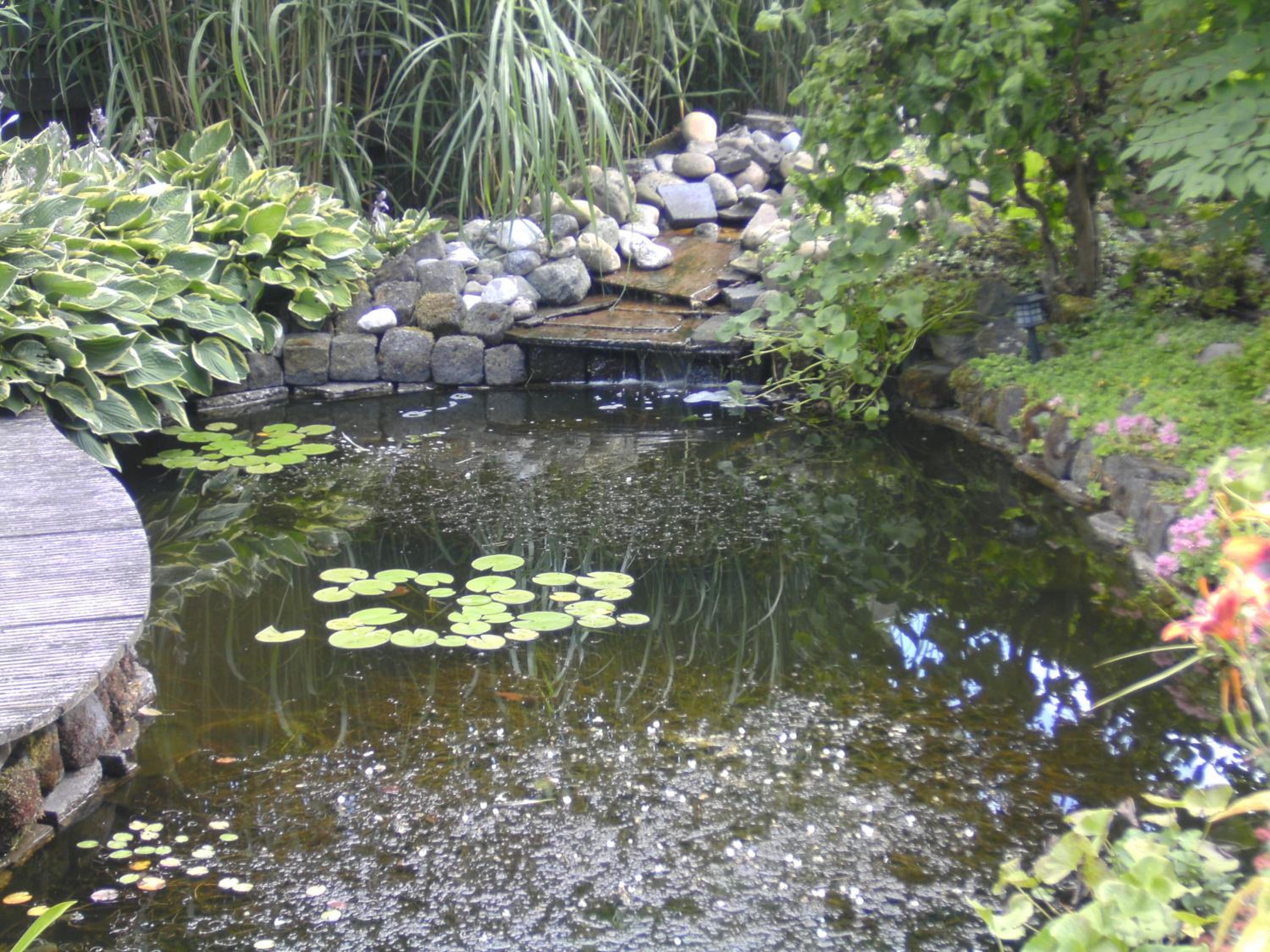 Photo 15